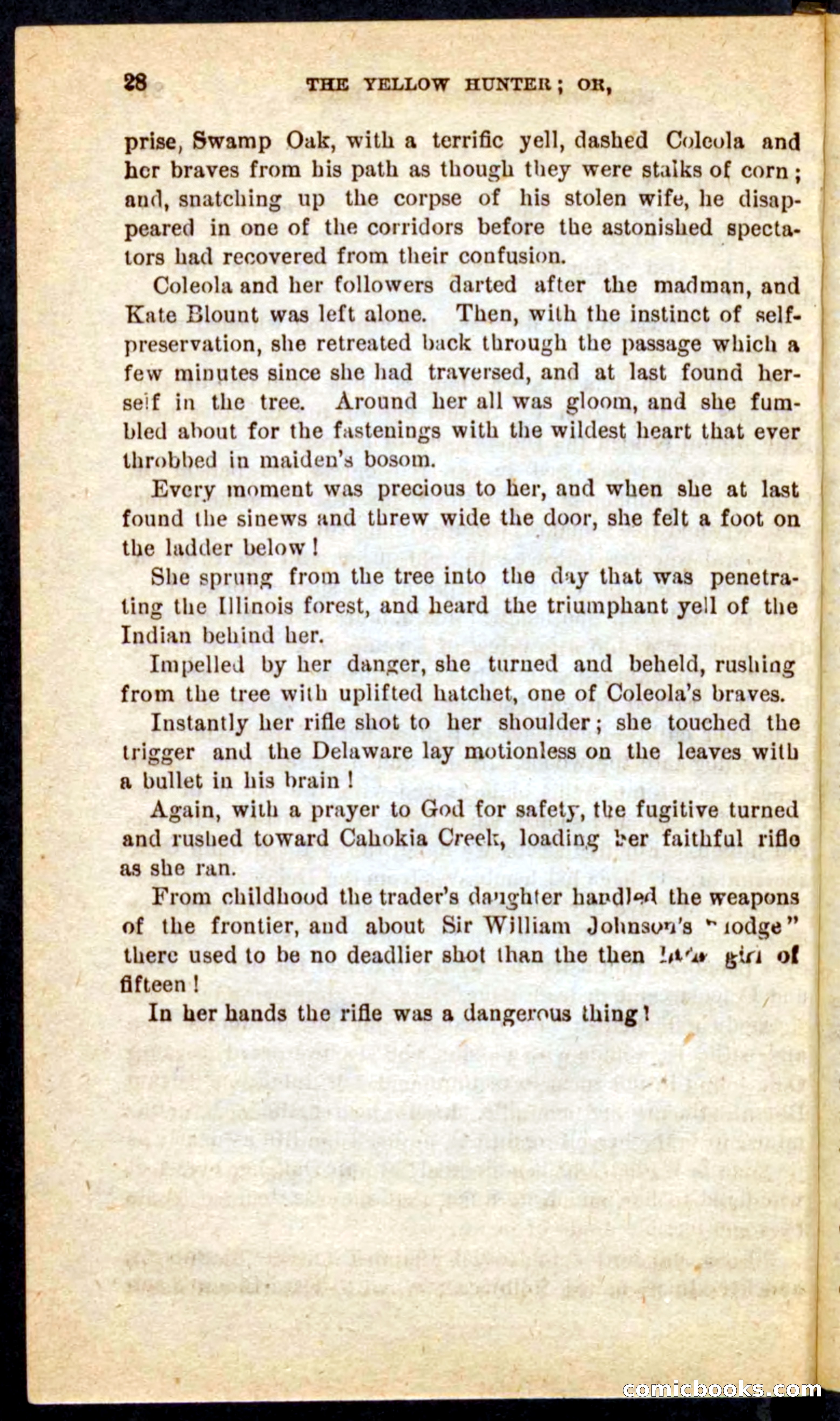 Beadle's Pocket Novels No. 69: The Yellow Hunter — page 24 of 100