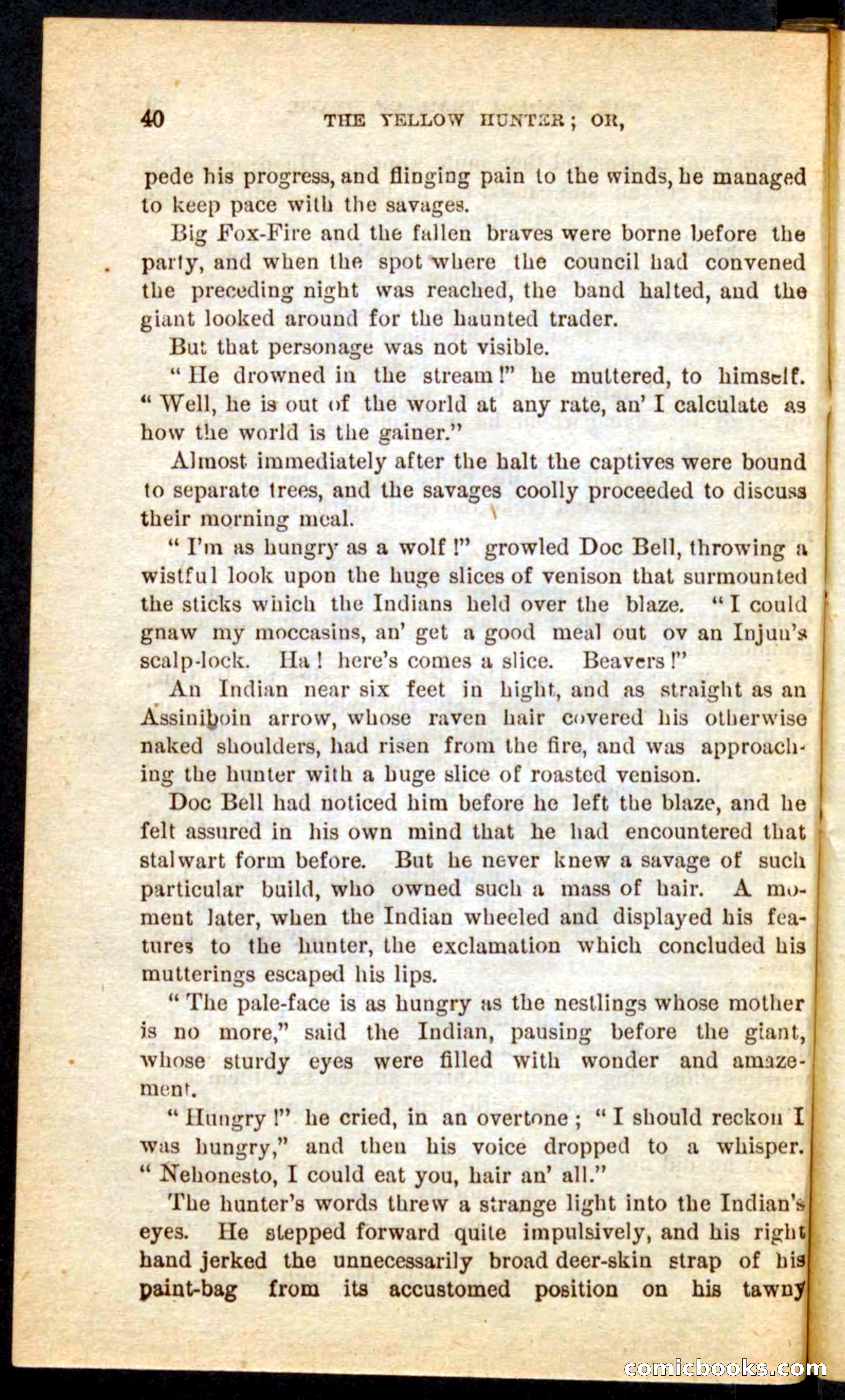 Beadle's Pocket Novels No. 69: The Yellow Hunter — page 36 of 100