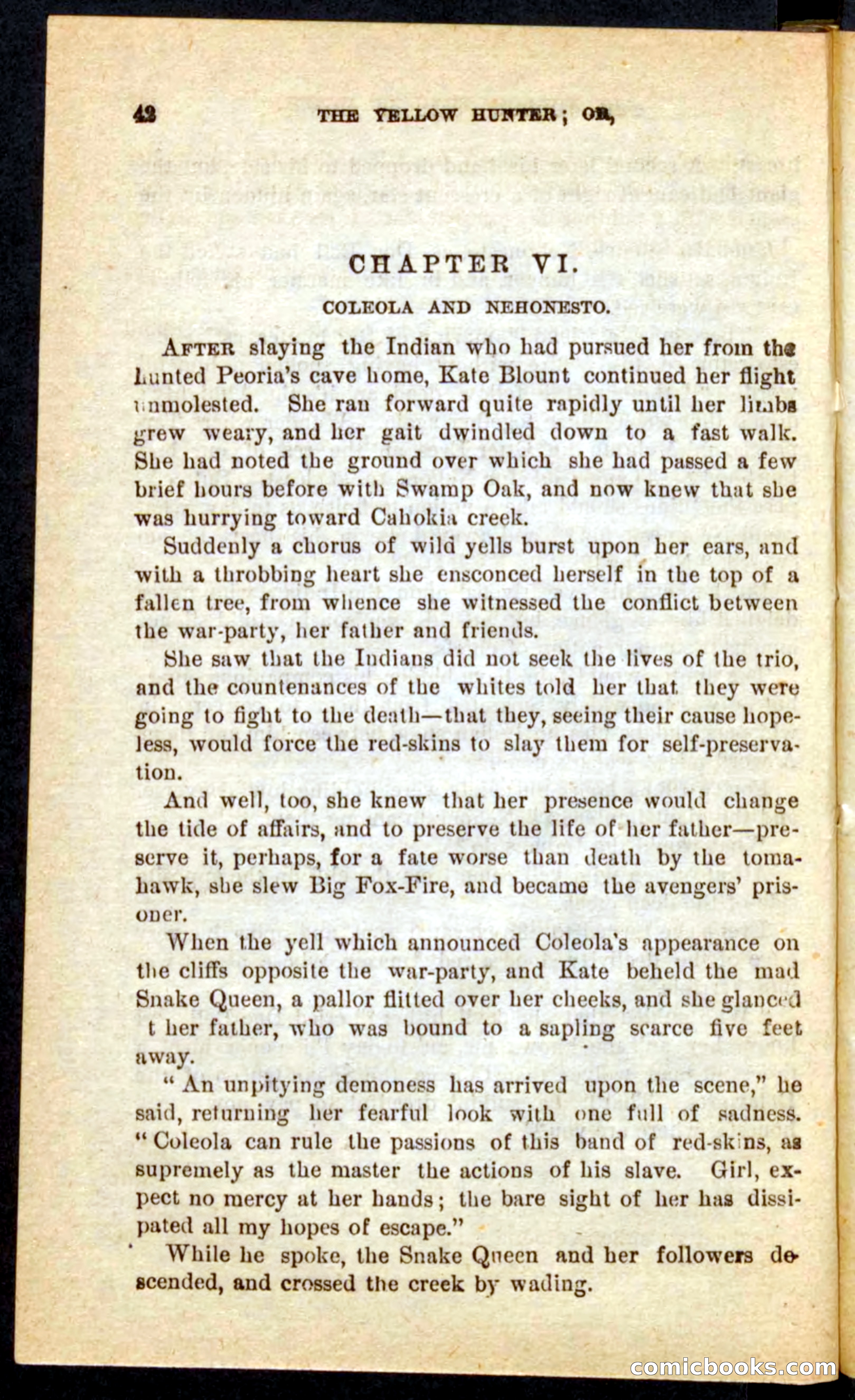 Beadle's Pocket Novels No. 69: The Yellow Hunter — page 38 of 100
