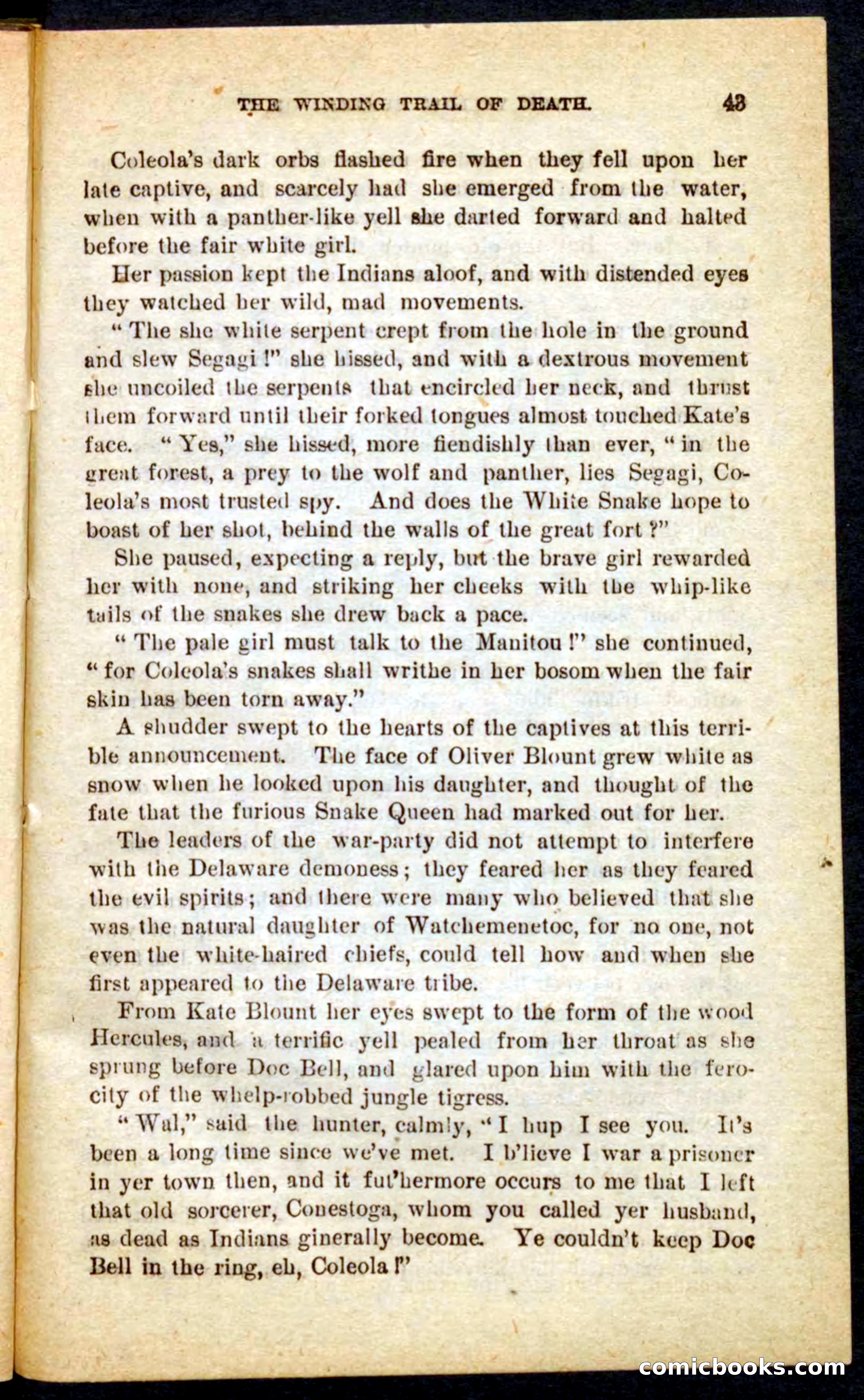 Beadle's Pocket Novels No. 69: The Yellow Hunter — page 39 of 100