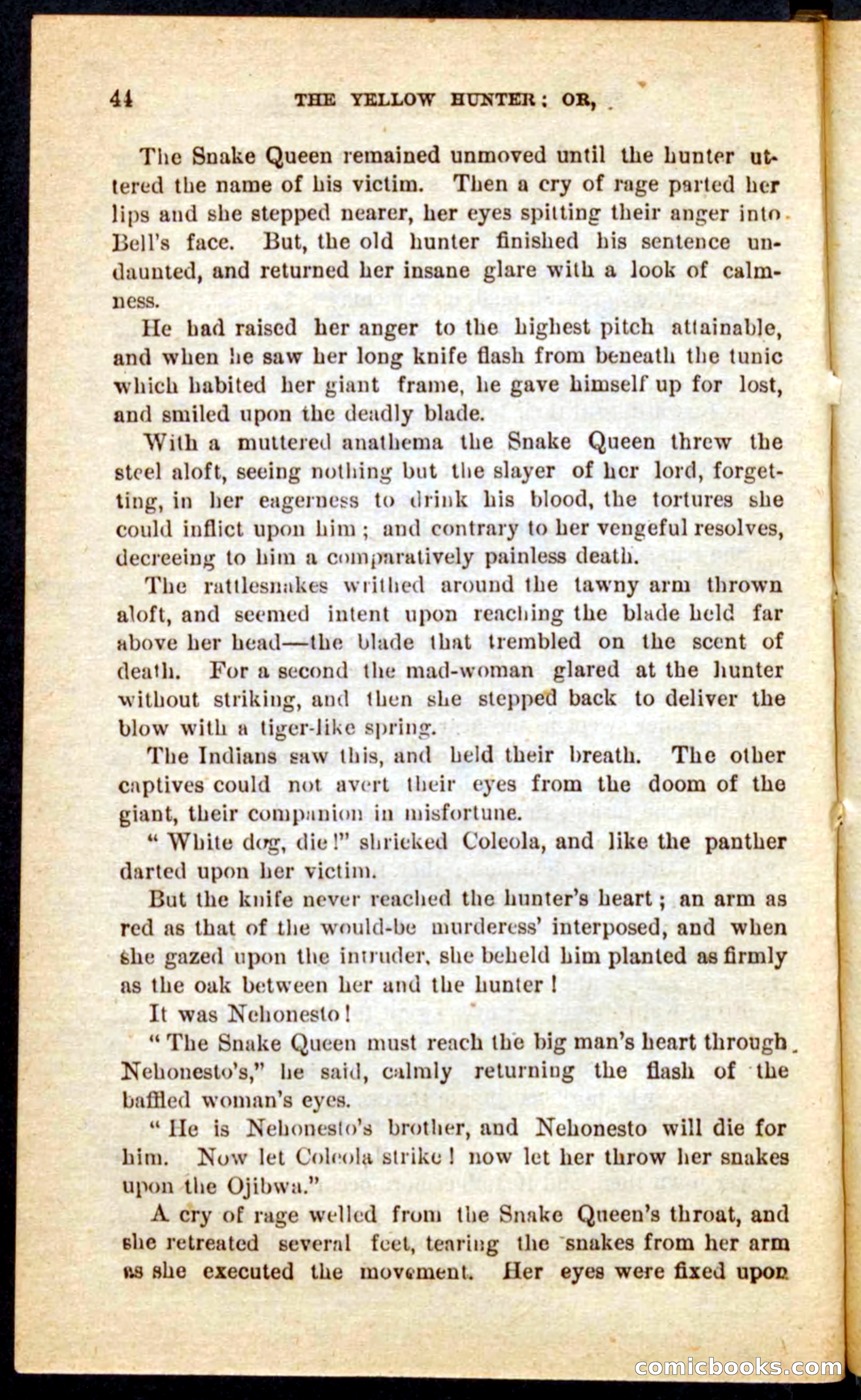 Beadle's Pocket Novels No. 69: The Yellow Hunter — page 40 of 100