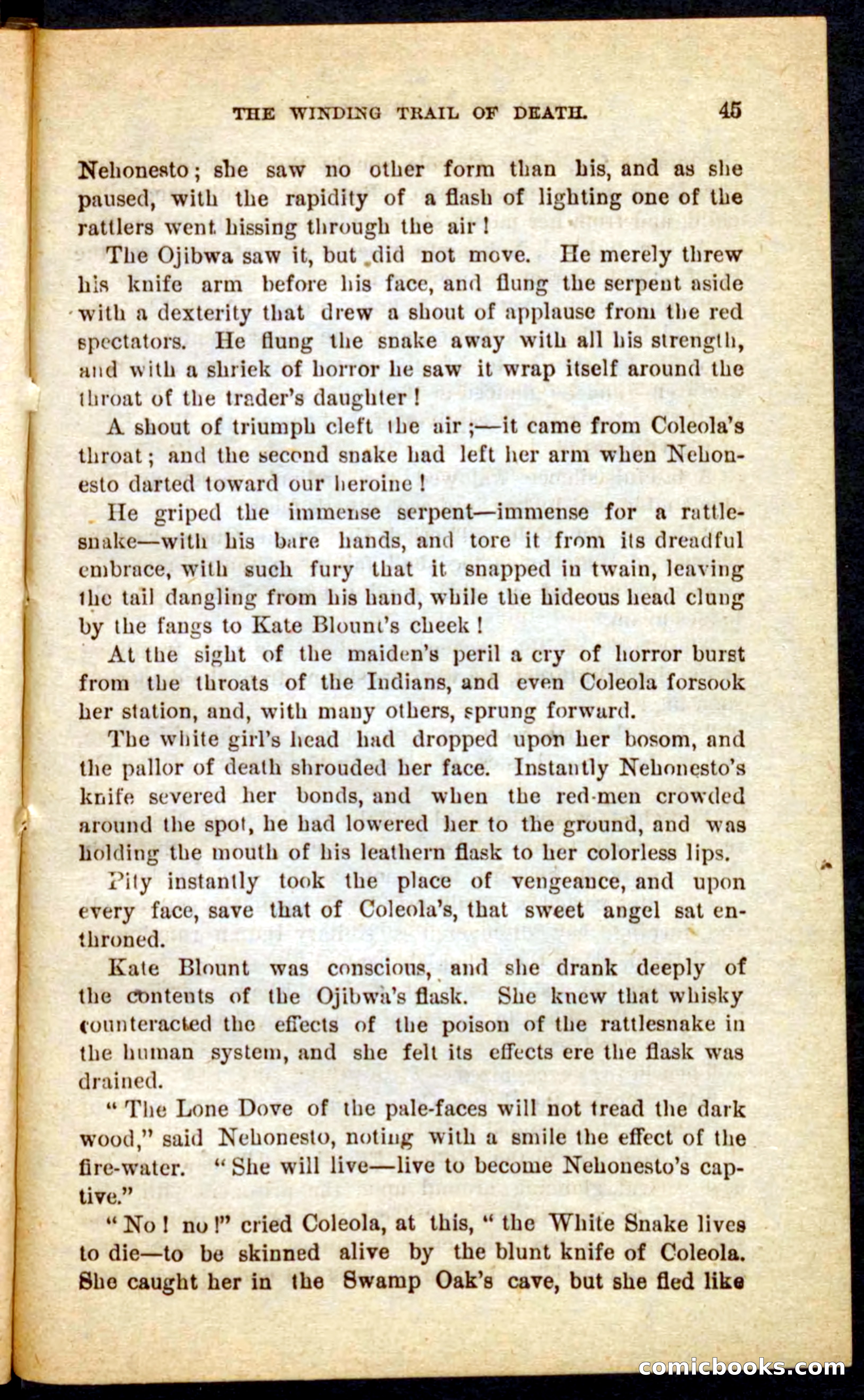 Beadle's Pocket Novels No. 69: The Yellow Hunter — page 41 of 100