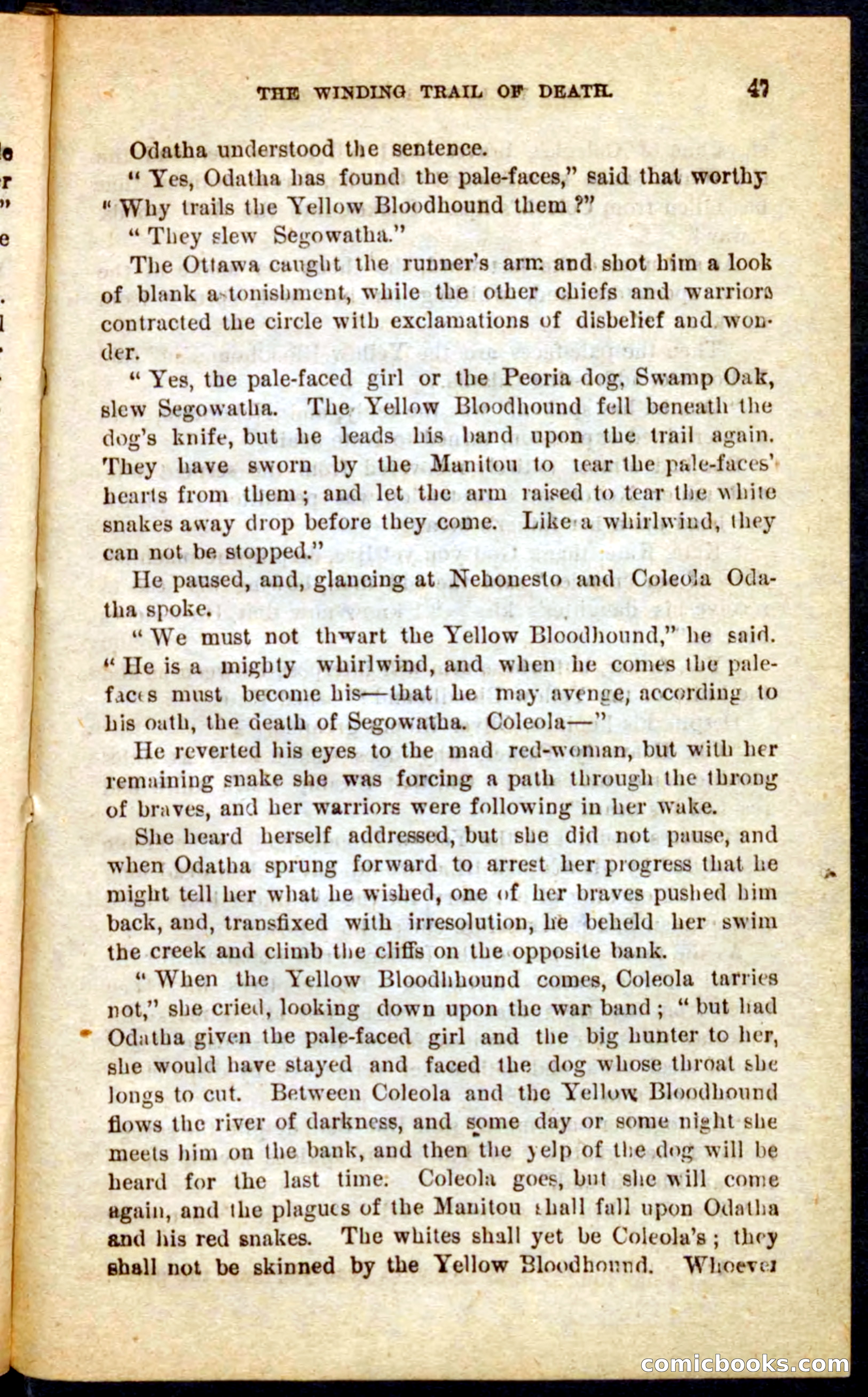 Beadle's Pocket Novels No. 69: The Yellow Hunter — page 43 of 100