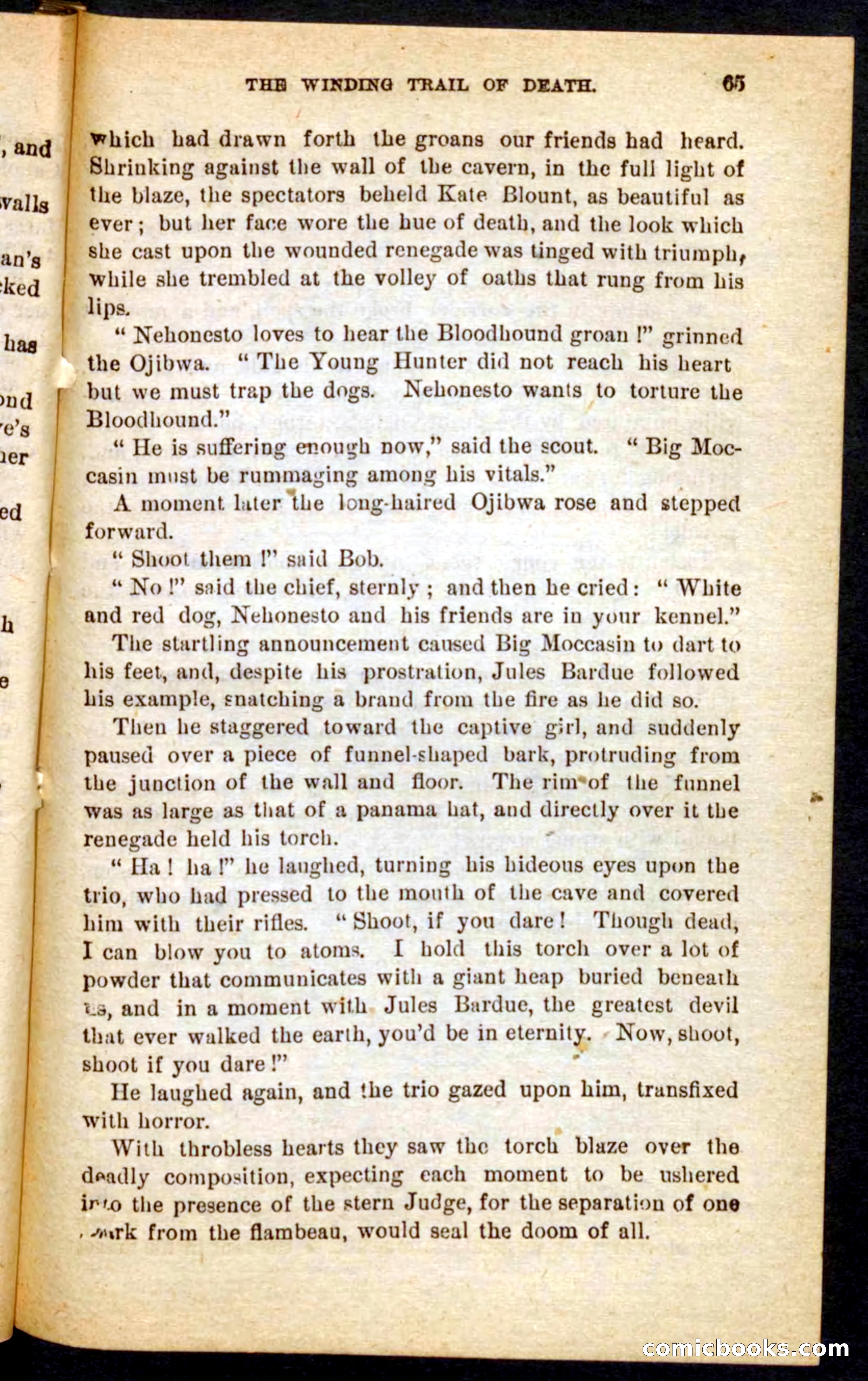 Beadle's Pocket Novels No. 69: The Yellow Hunter — page 61 of 100