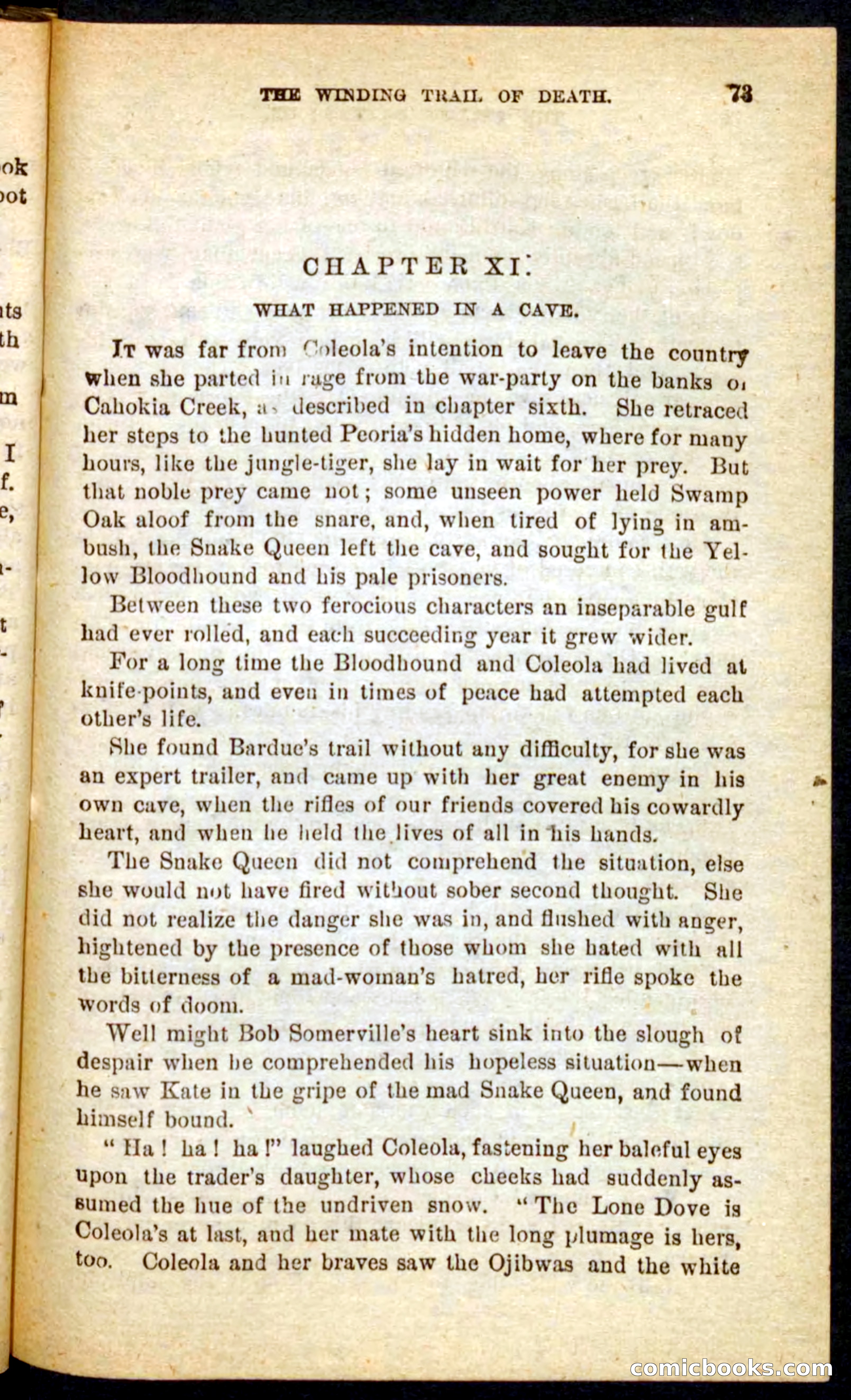 Beadle's Pocket Novels No. 69: The Yellow Hunter — page 69 of 100