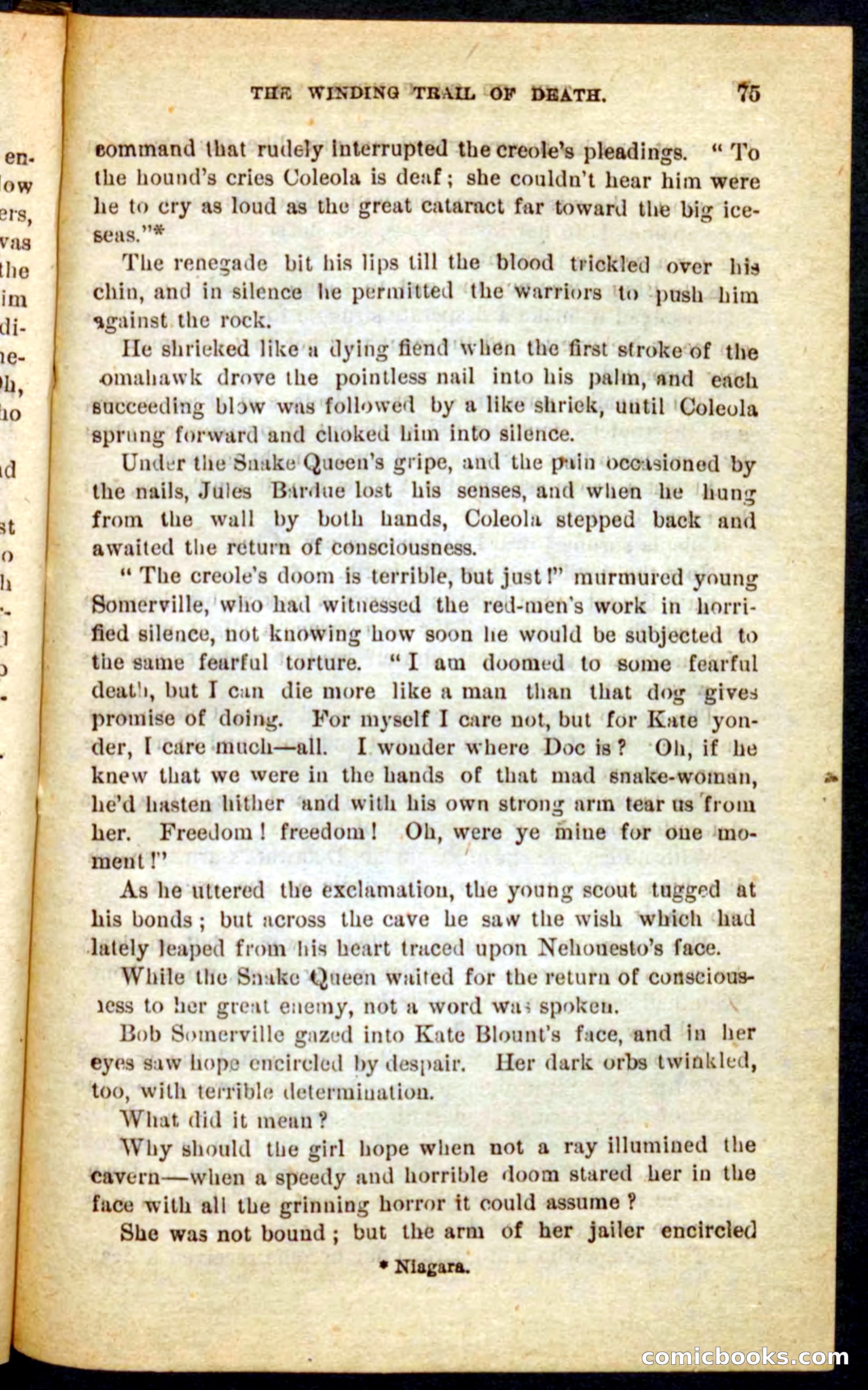 Beadle's Pocket Novels No. 69: The Yellow Hunter — page 71 of 100
