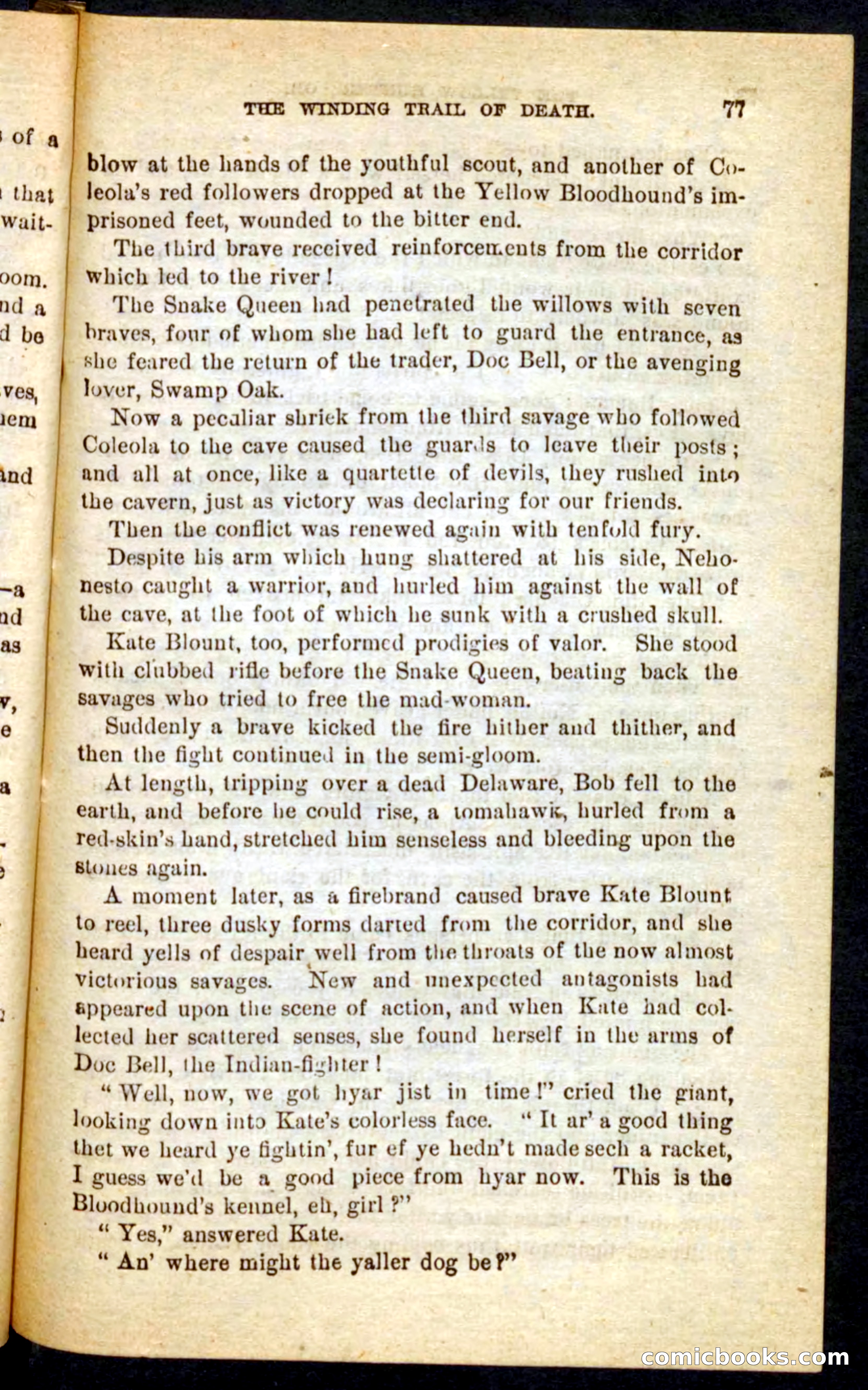 Beadle's Pocket Novels No. 69: The Yellow Hunter — page 73 of 100
