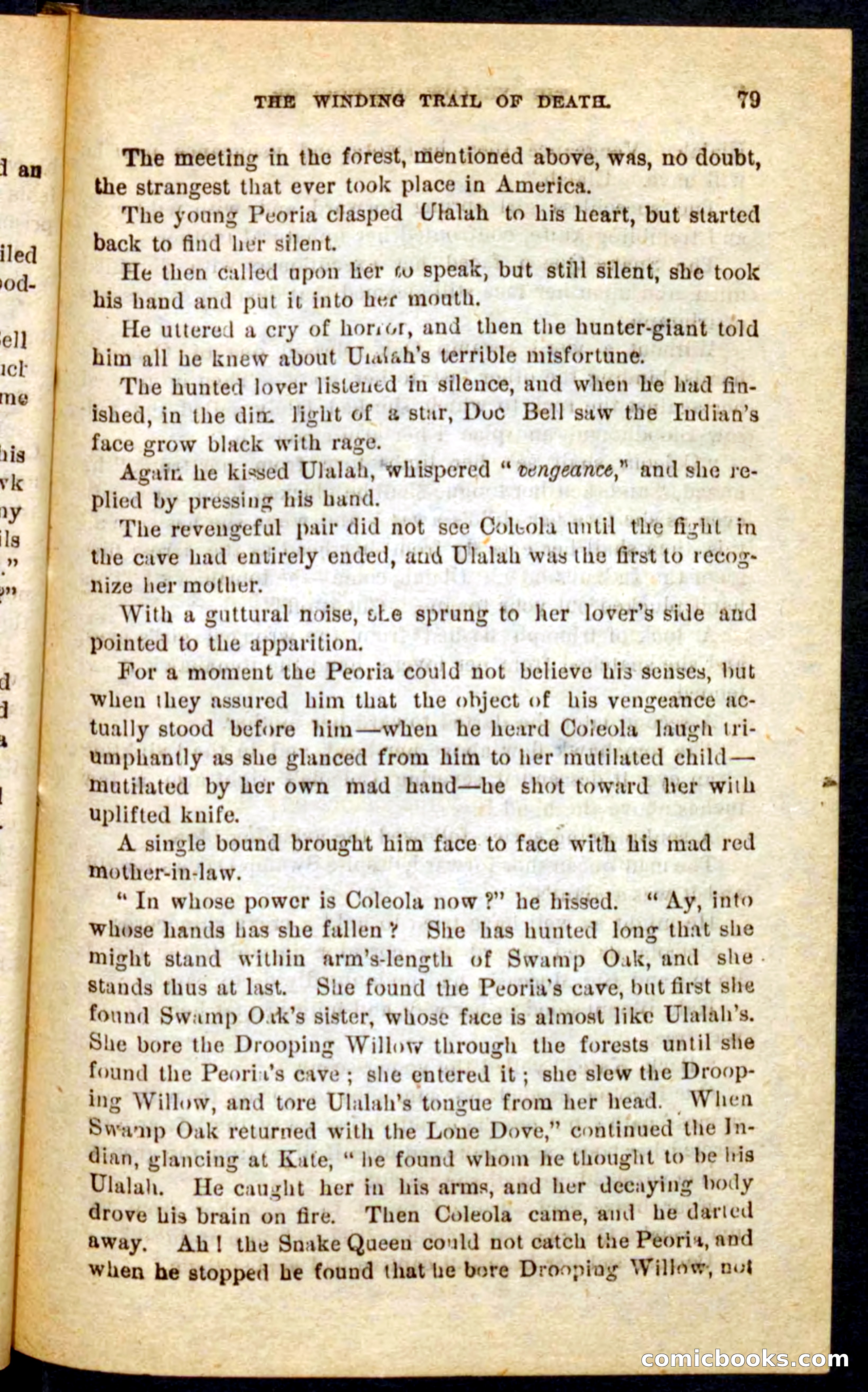 Beadle's Pocket Novels No. 69: The Yellow Hunter — page 75 of 100