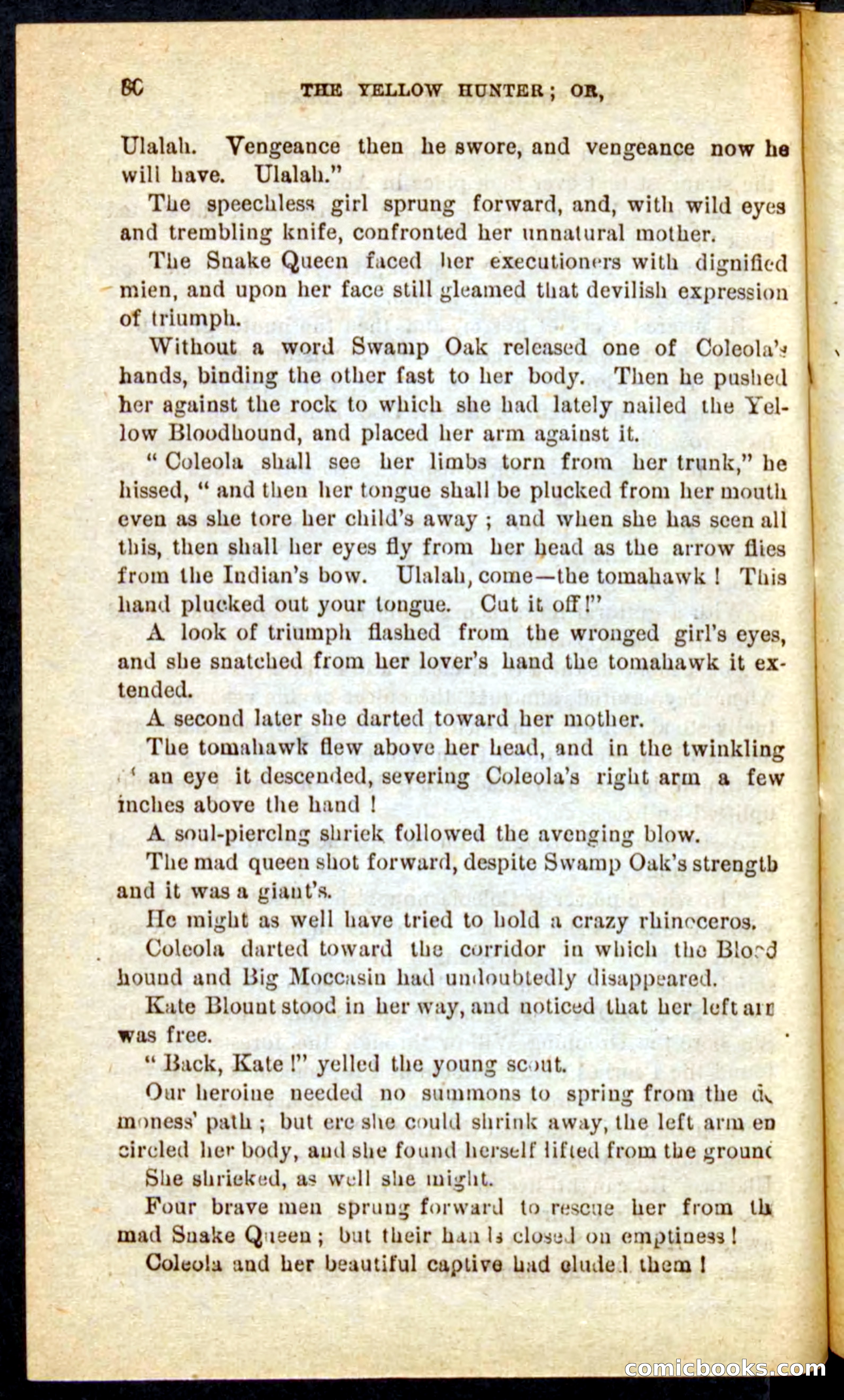 Beadle's Pocket Novels No. 69: The Yellow Hunter — page 76 of 100