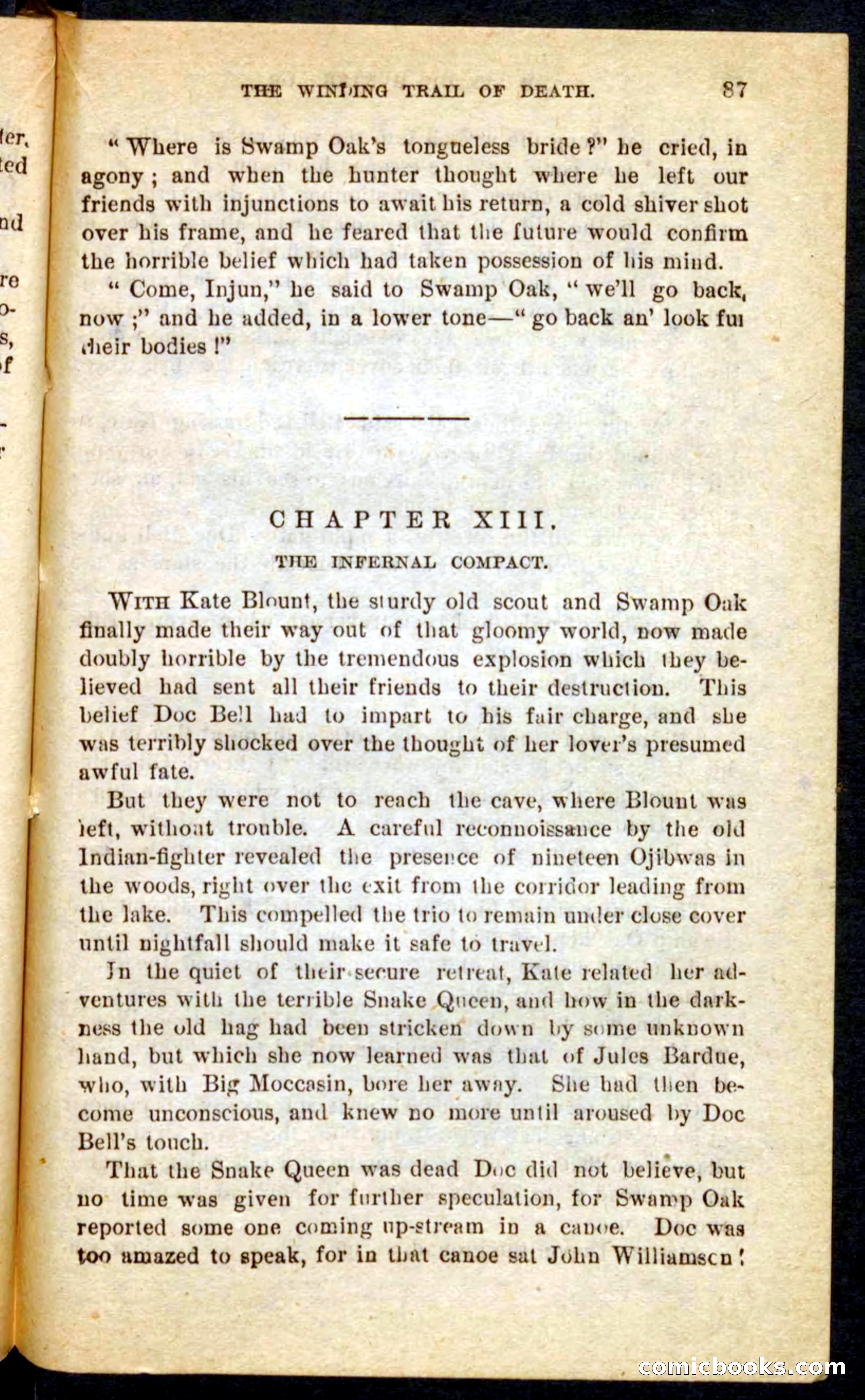 Beadle's Pocket Novels No. 69: The Yellow Hunter — page 83 of 100