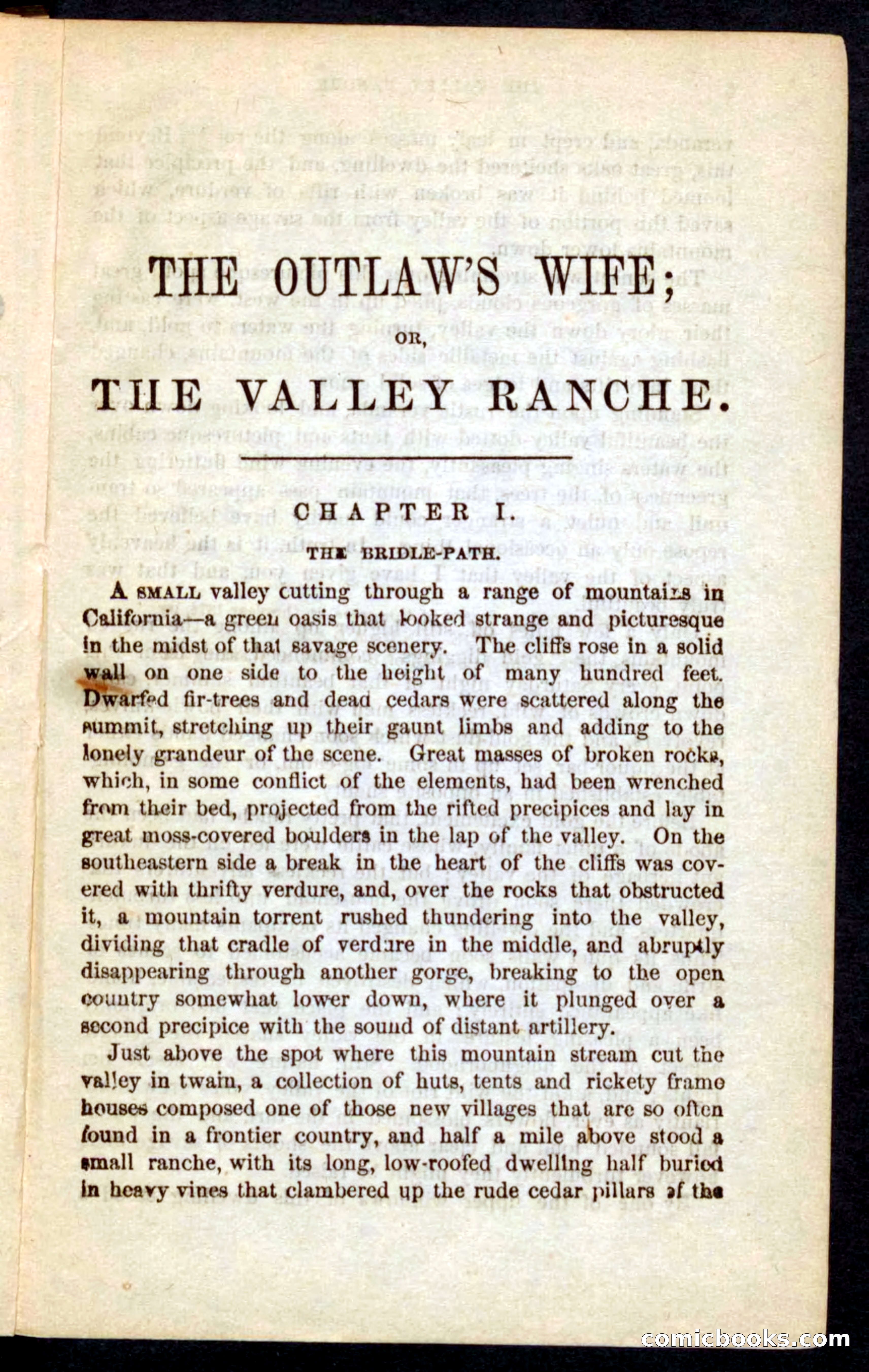 The Outlaw's Wife — page 5 of 132