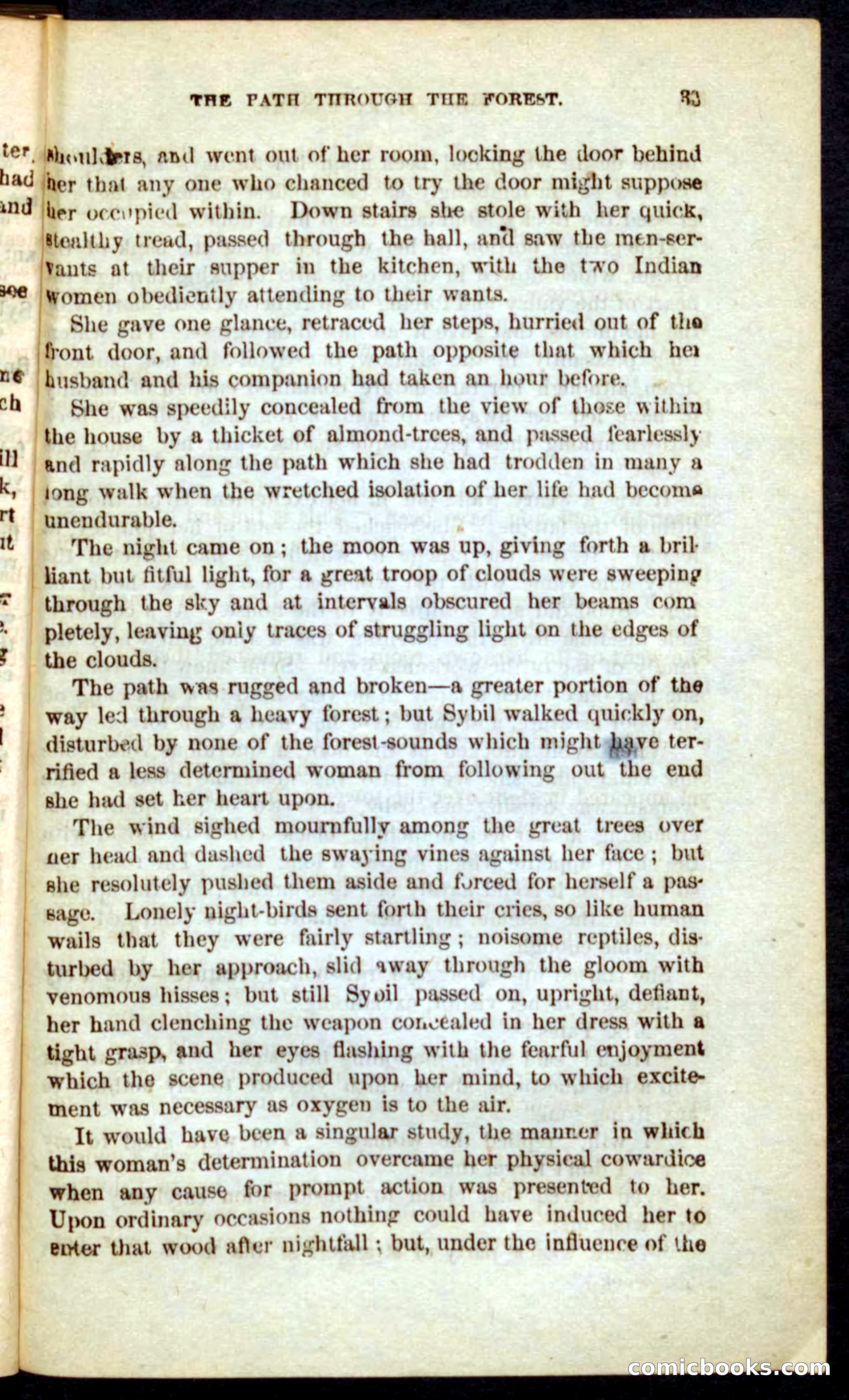 The Outlaw's Wife — page 33 of 132
