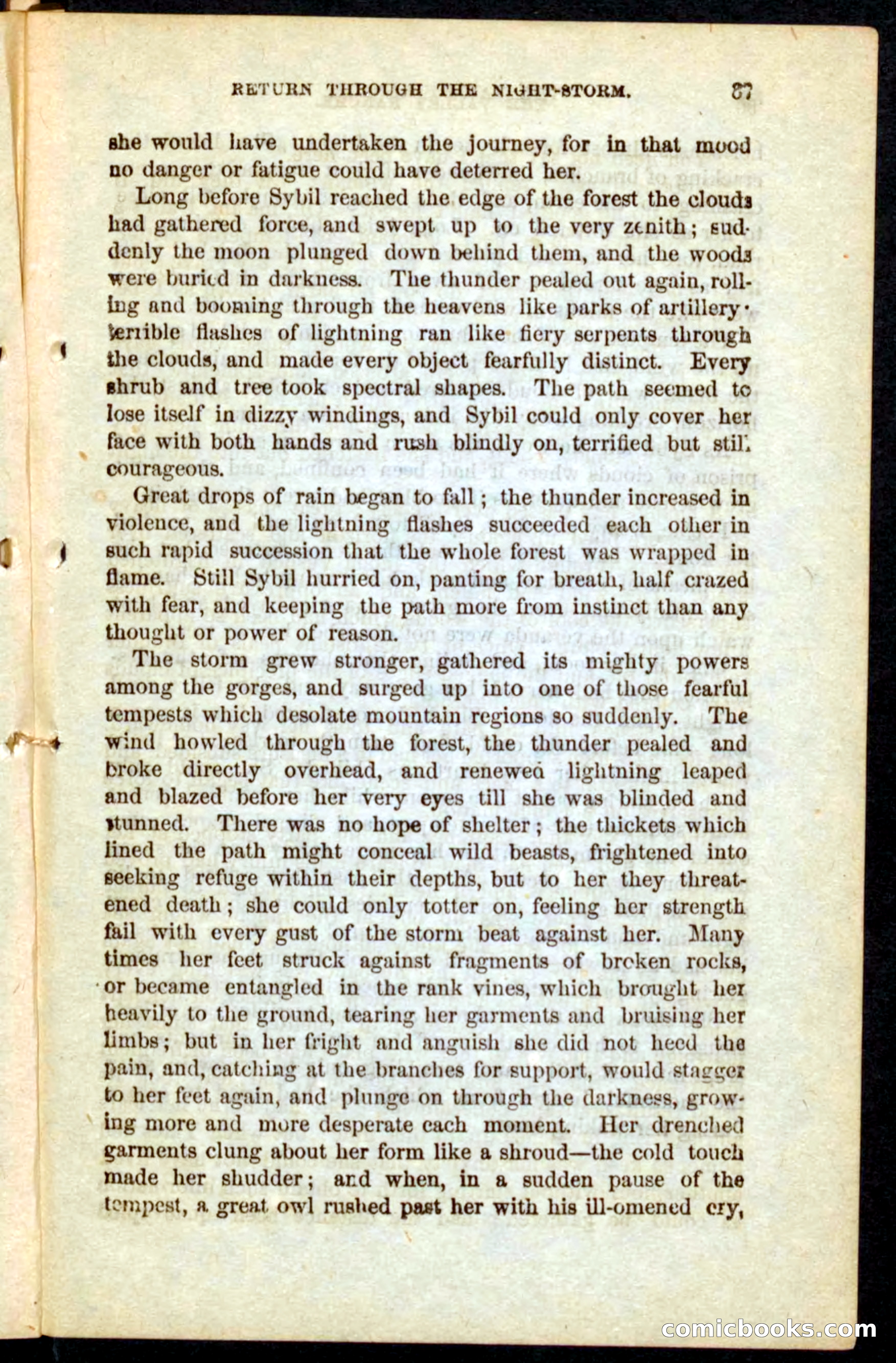 The Outlaw's Wife — page 37 of 132