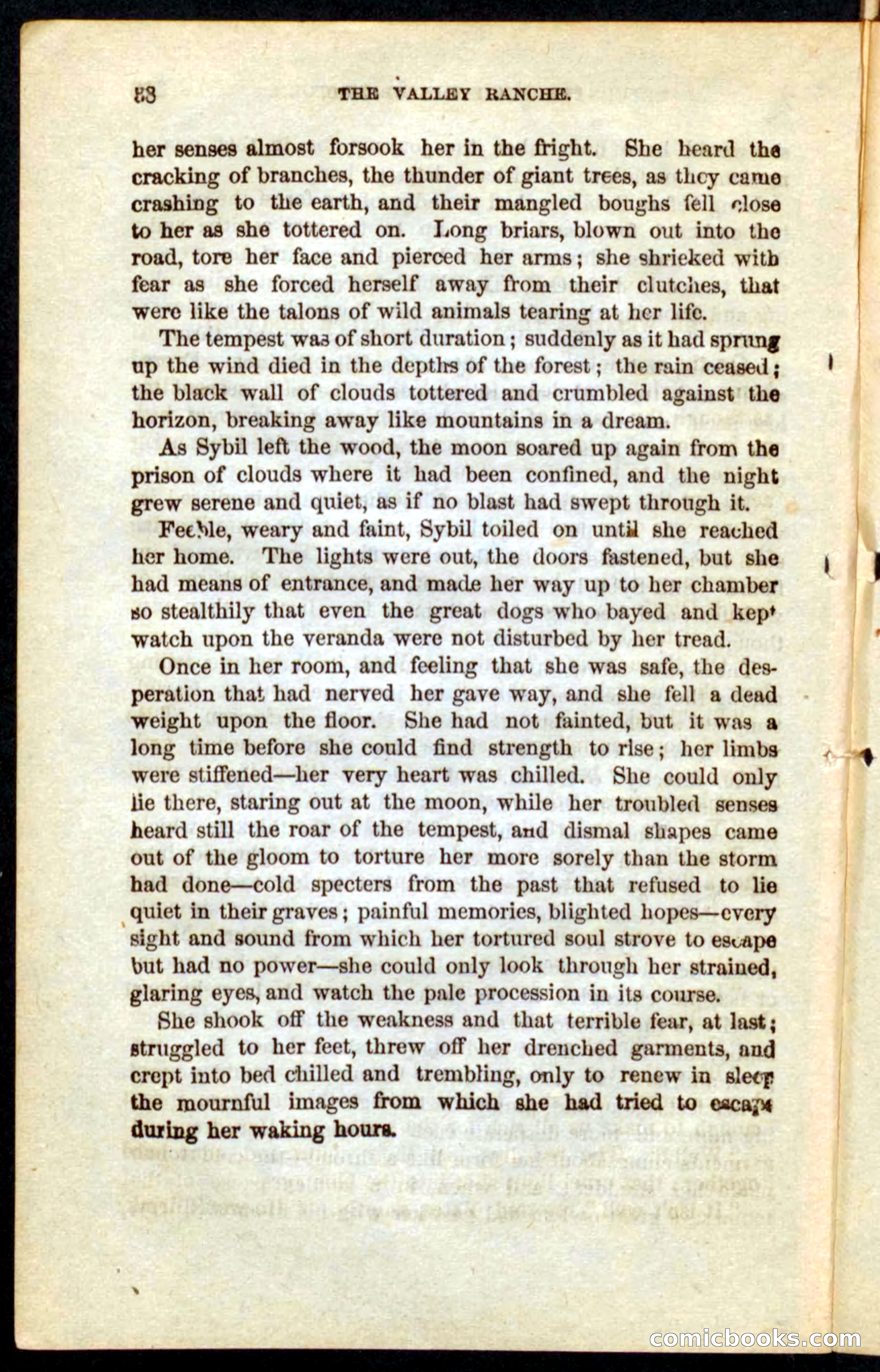 The Outlaw's Wife — page 38 of 132