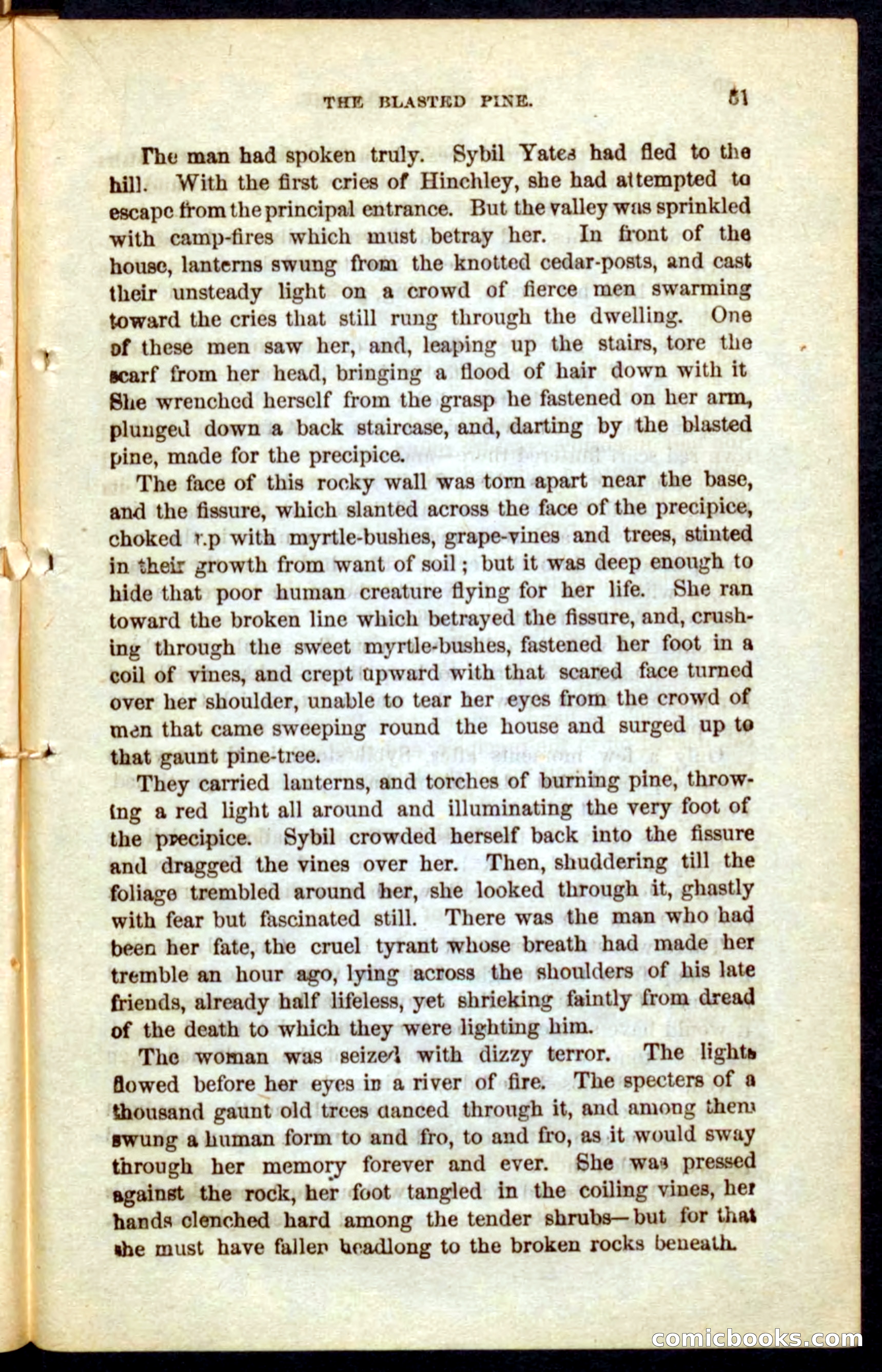 The Outlaw's Wife — page 51 of 132