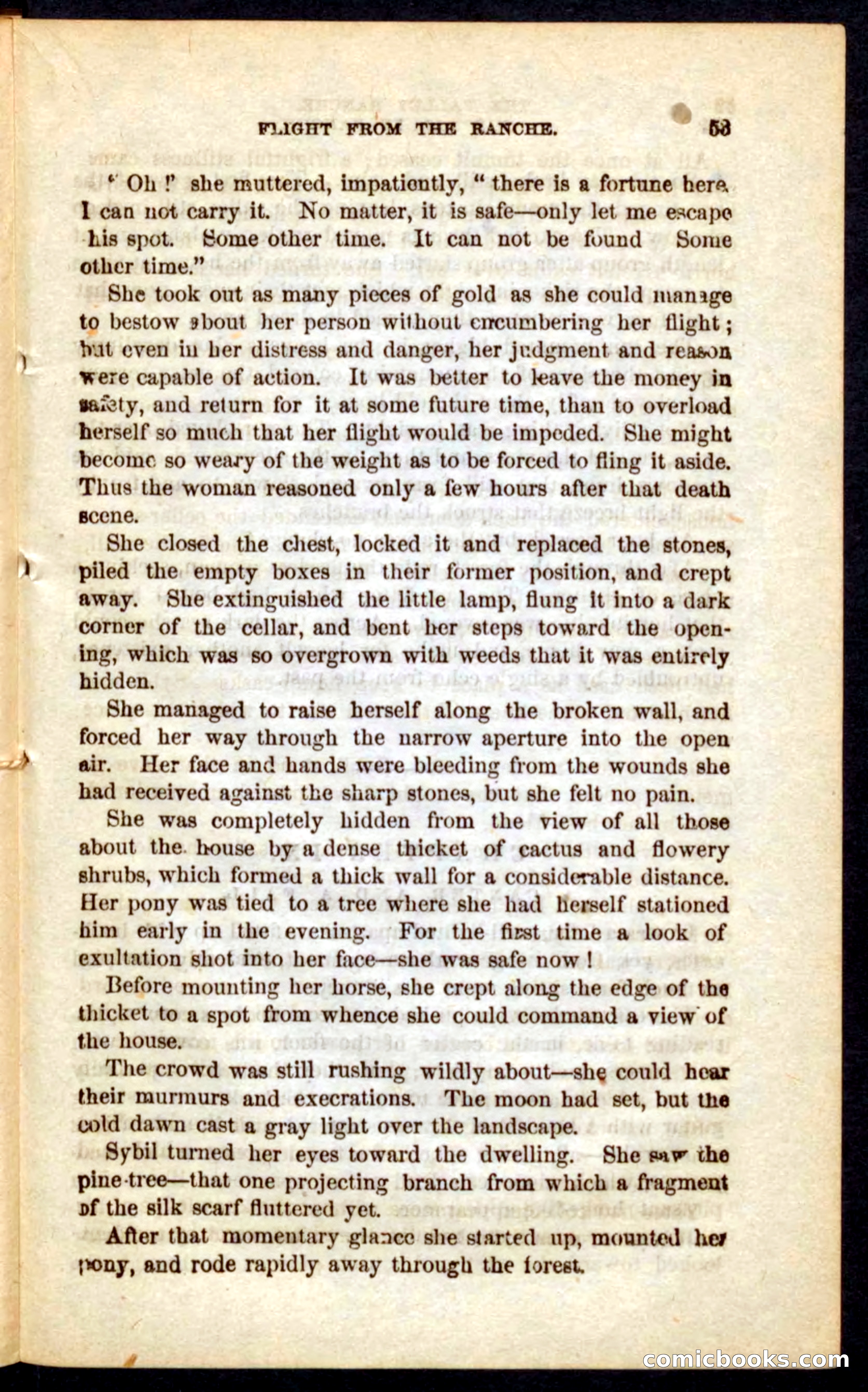 The Outlaw's Wife — page 53 of 132