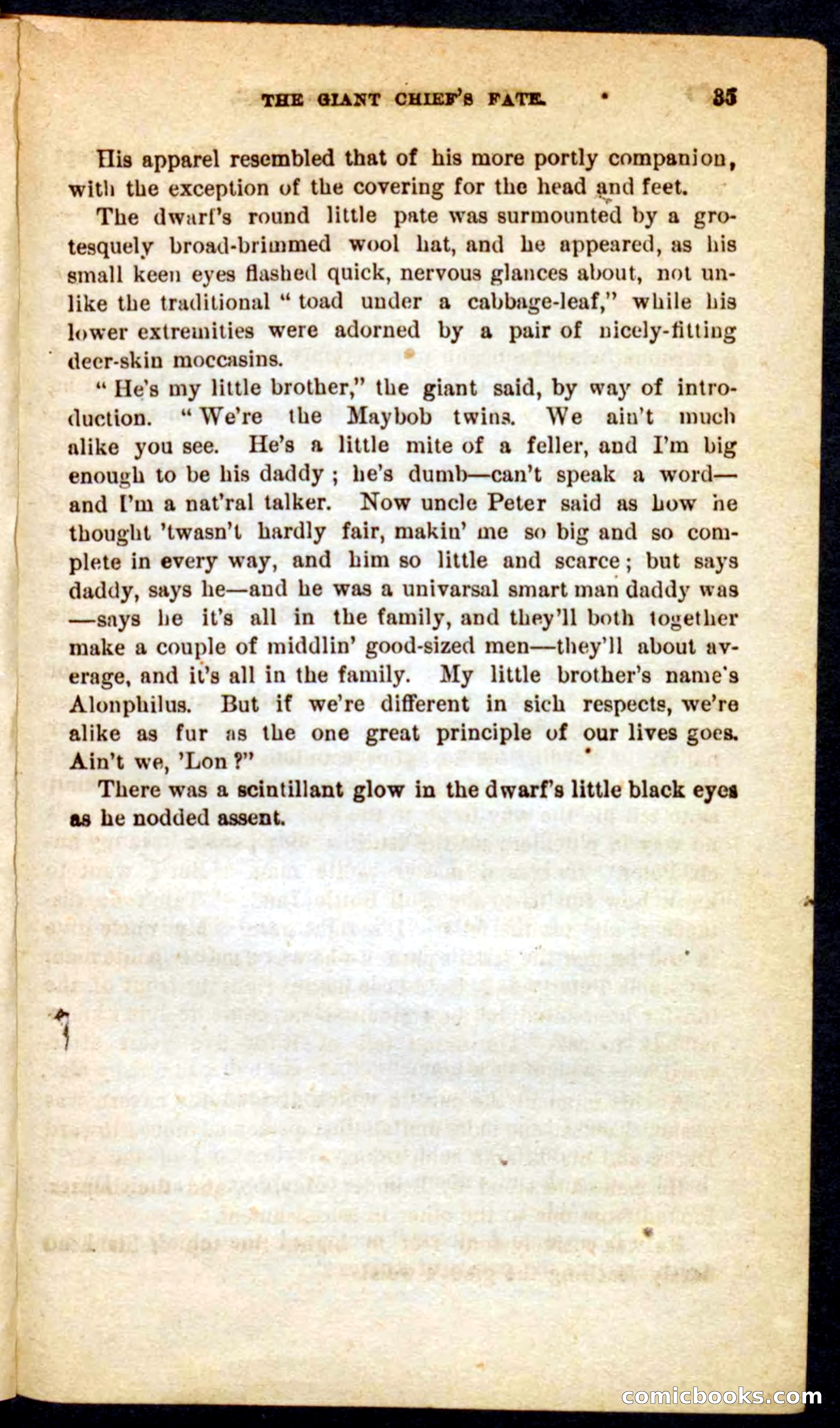 The Phantom Rider — page 31 of 100