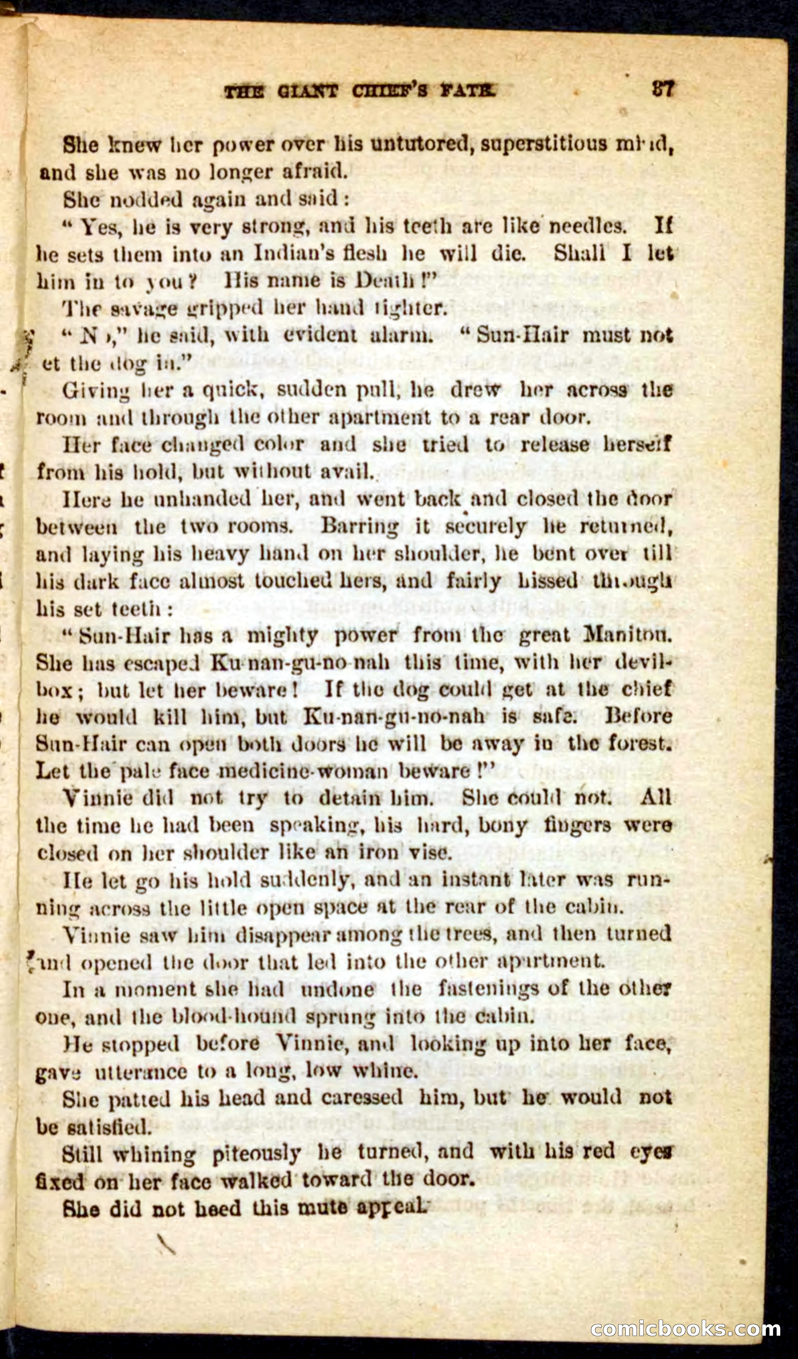 The Phantom Rider — page 33 of 100