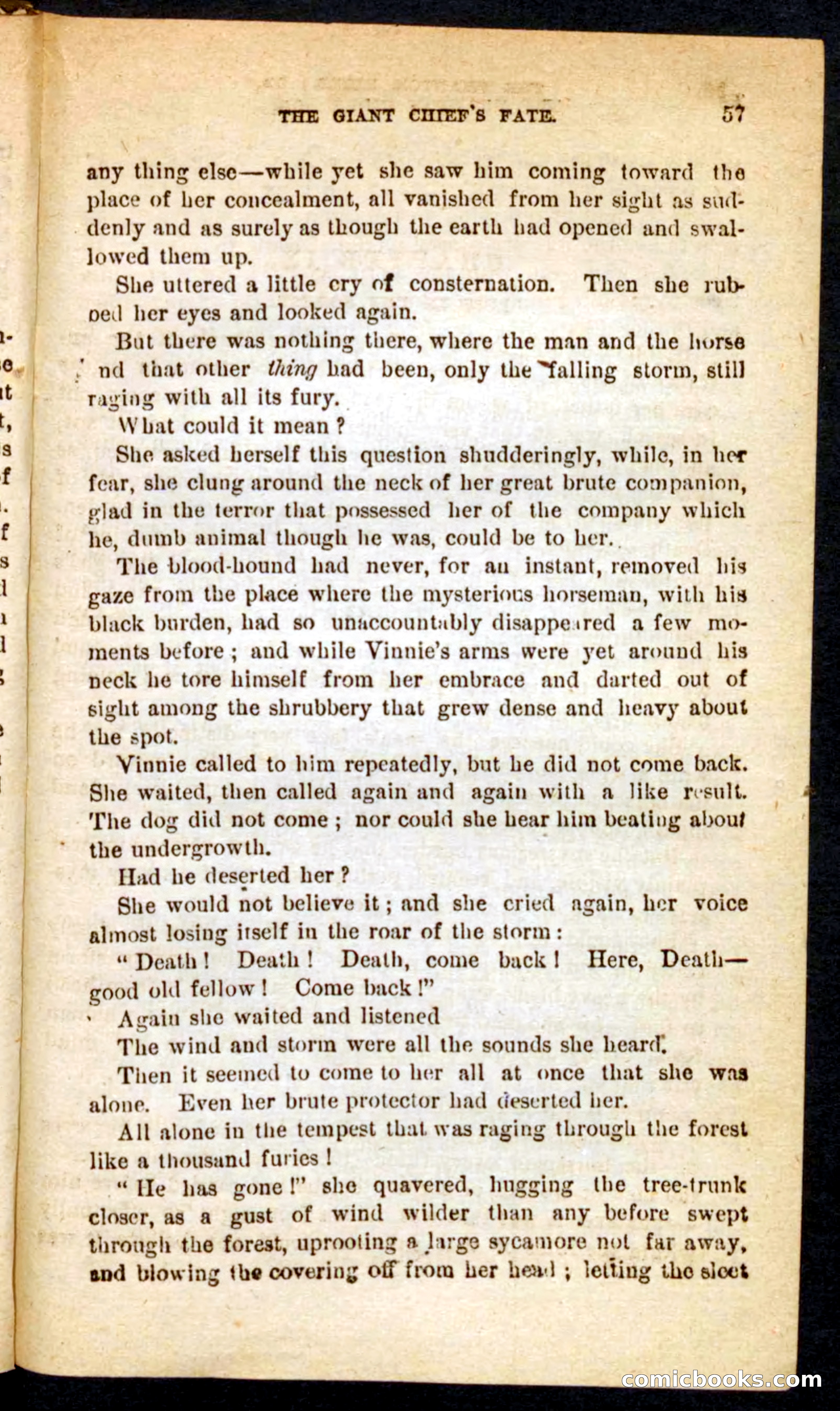 The Phantom Rider — page 53 of 100