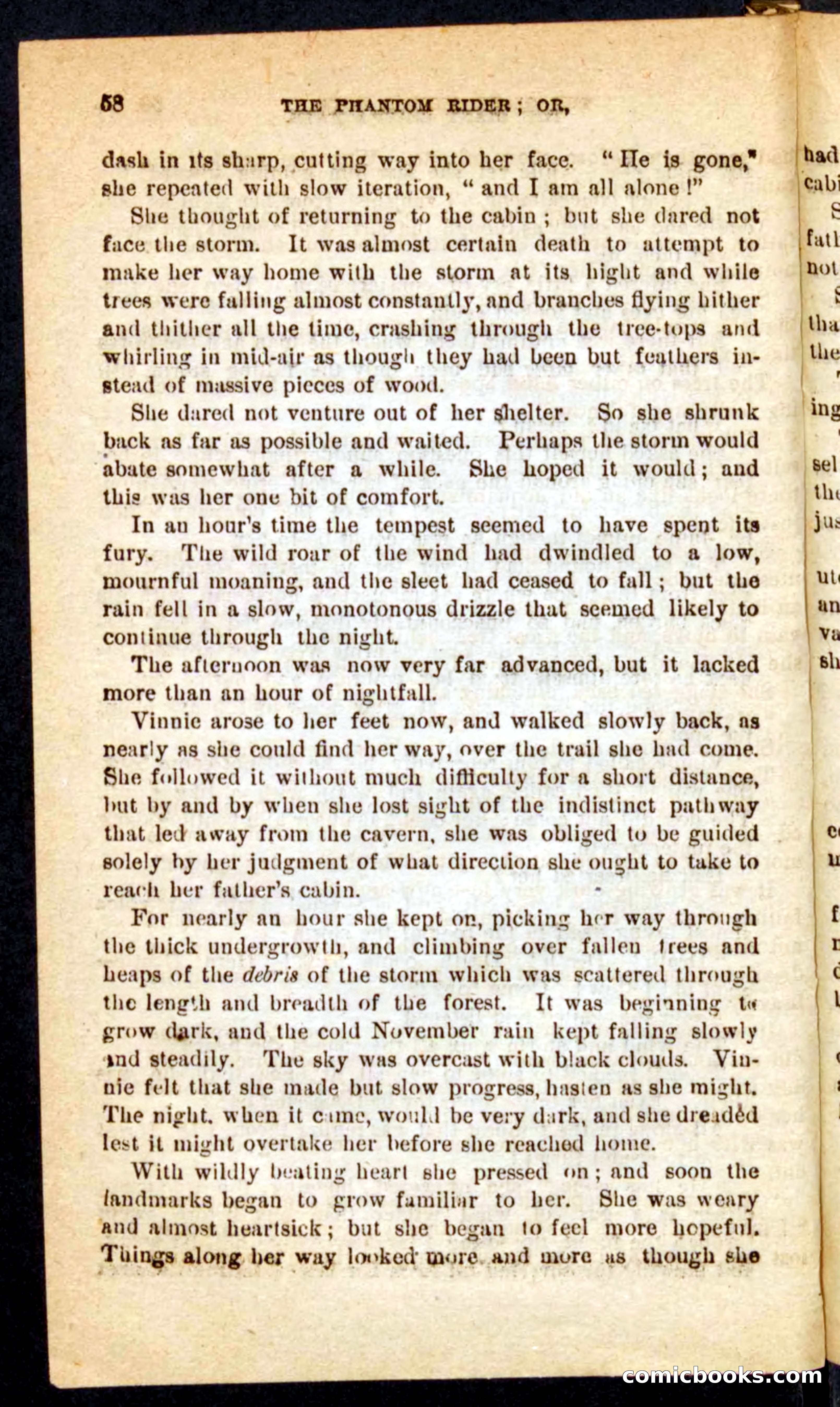 The Phantom Rider — page 54 of 100