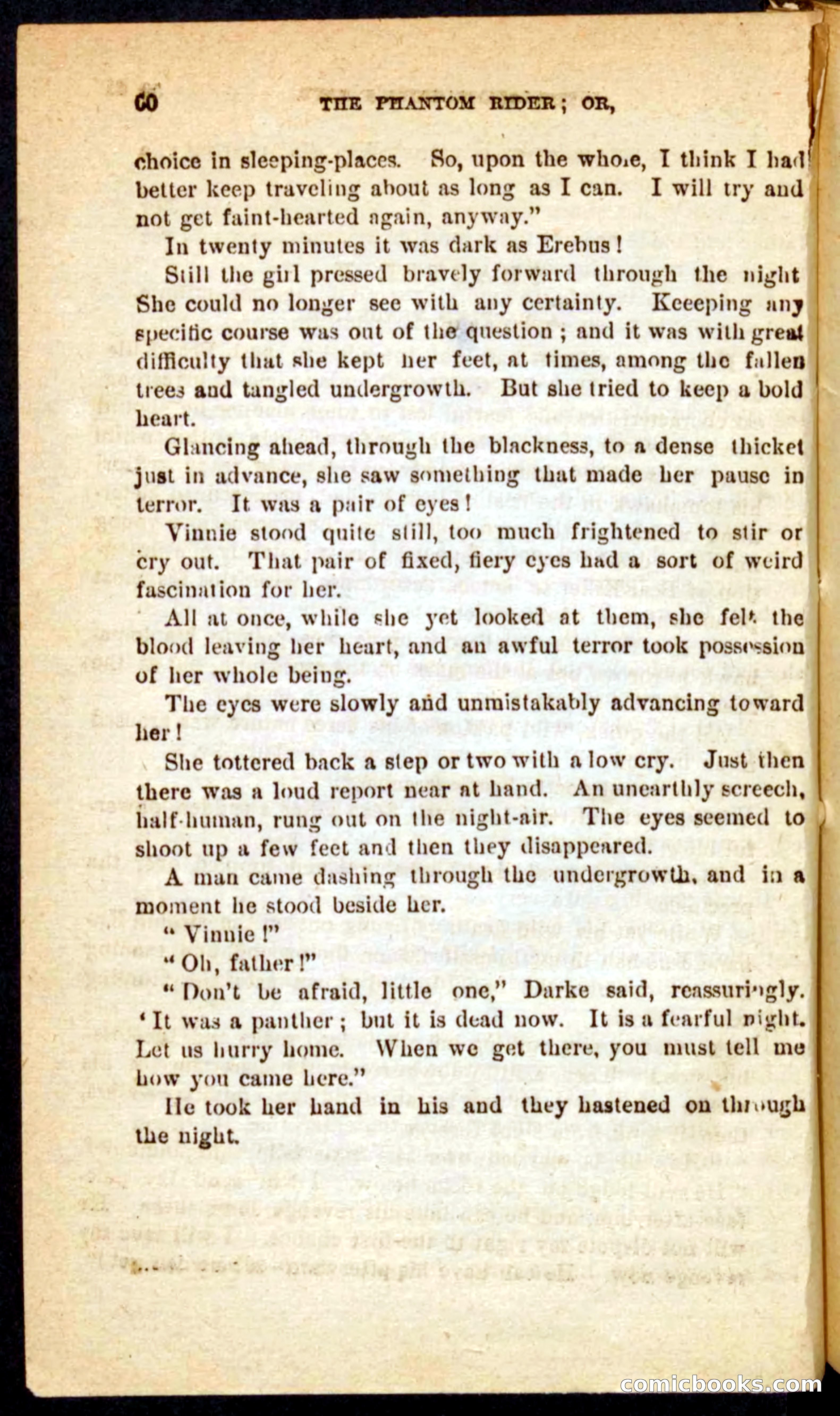 The Phantom Rider — page 56 of 100
