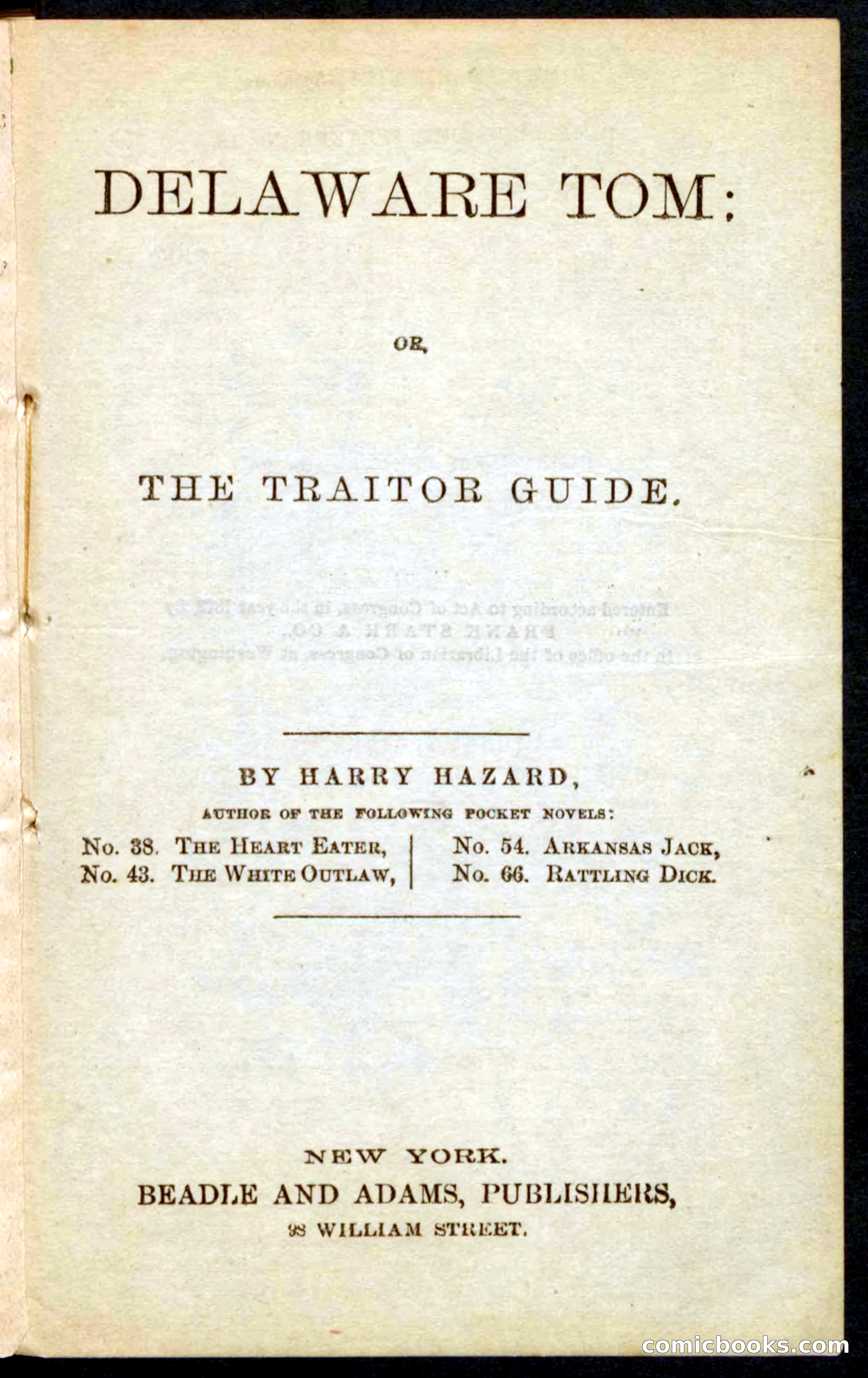 Beadle's Pocket Novels No. 71: Delaware Tom — page 3 of 100