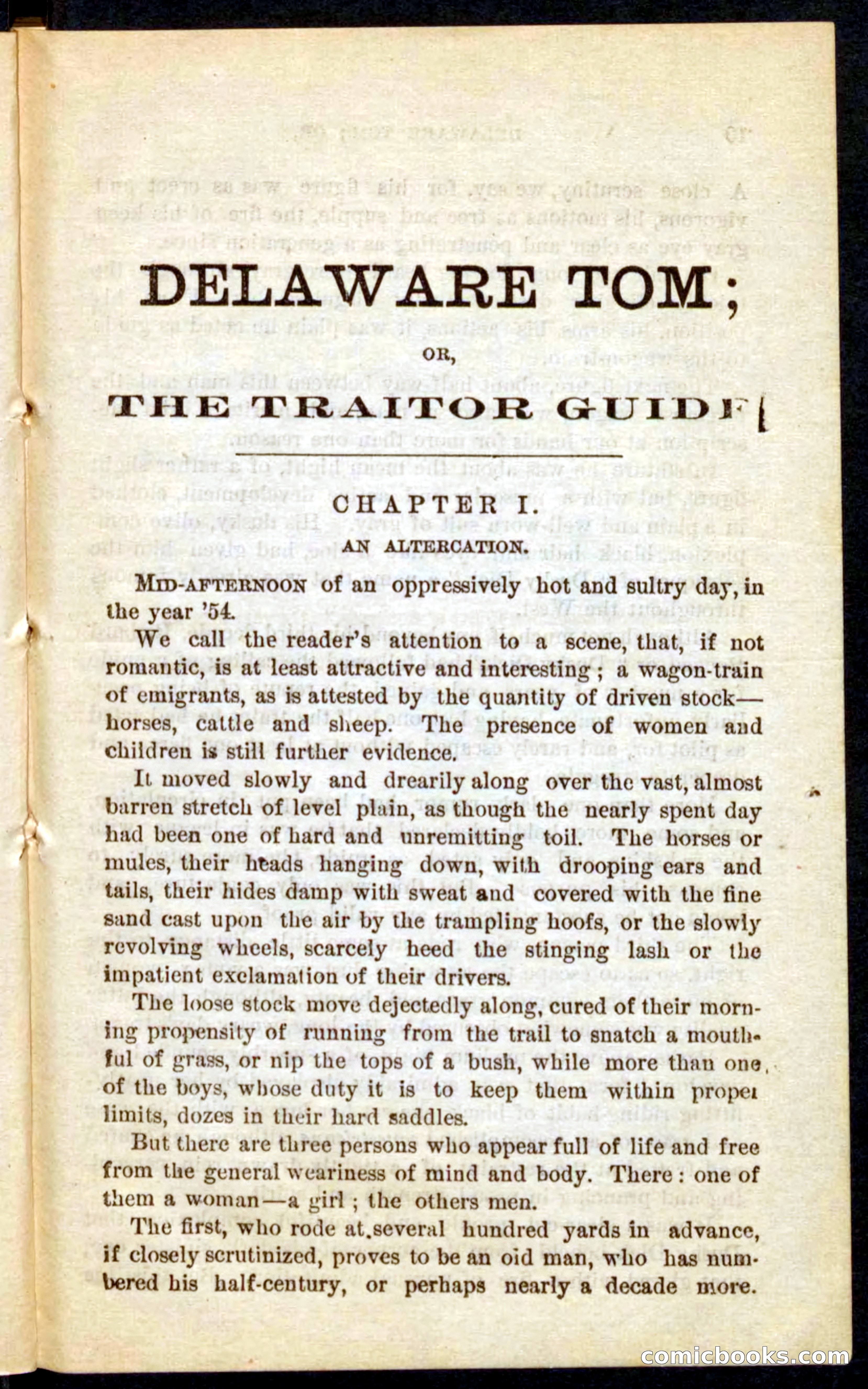 Beadle's Pocket Novels No. 71: Delaware Tom — page 5 of 100