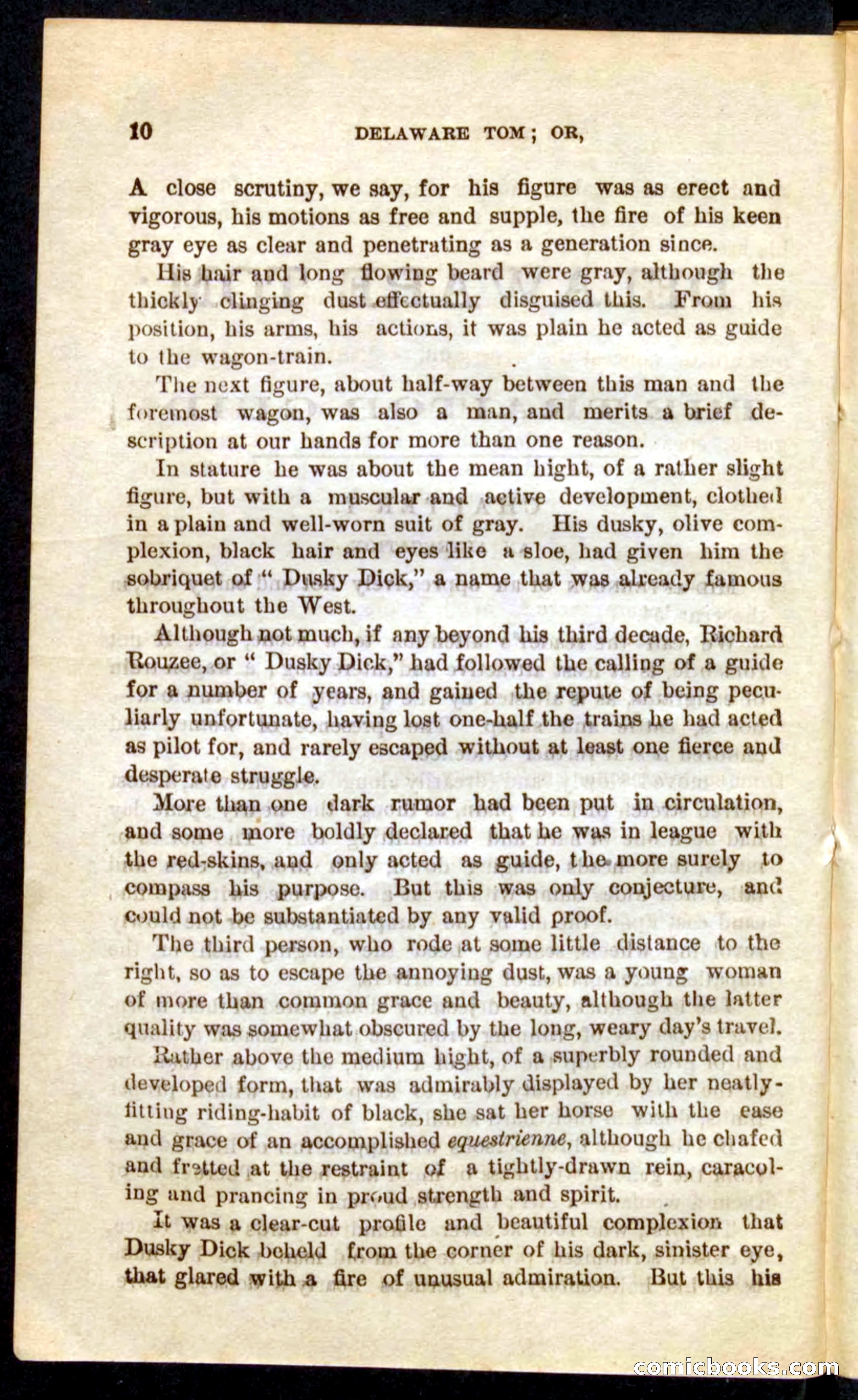 Beadle's Pocket Novels No. 71: Delaware Tom — page 6 of 100