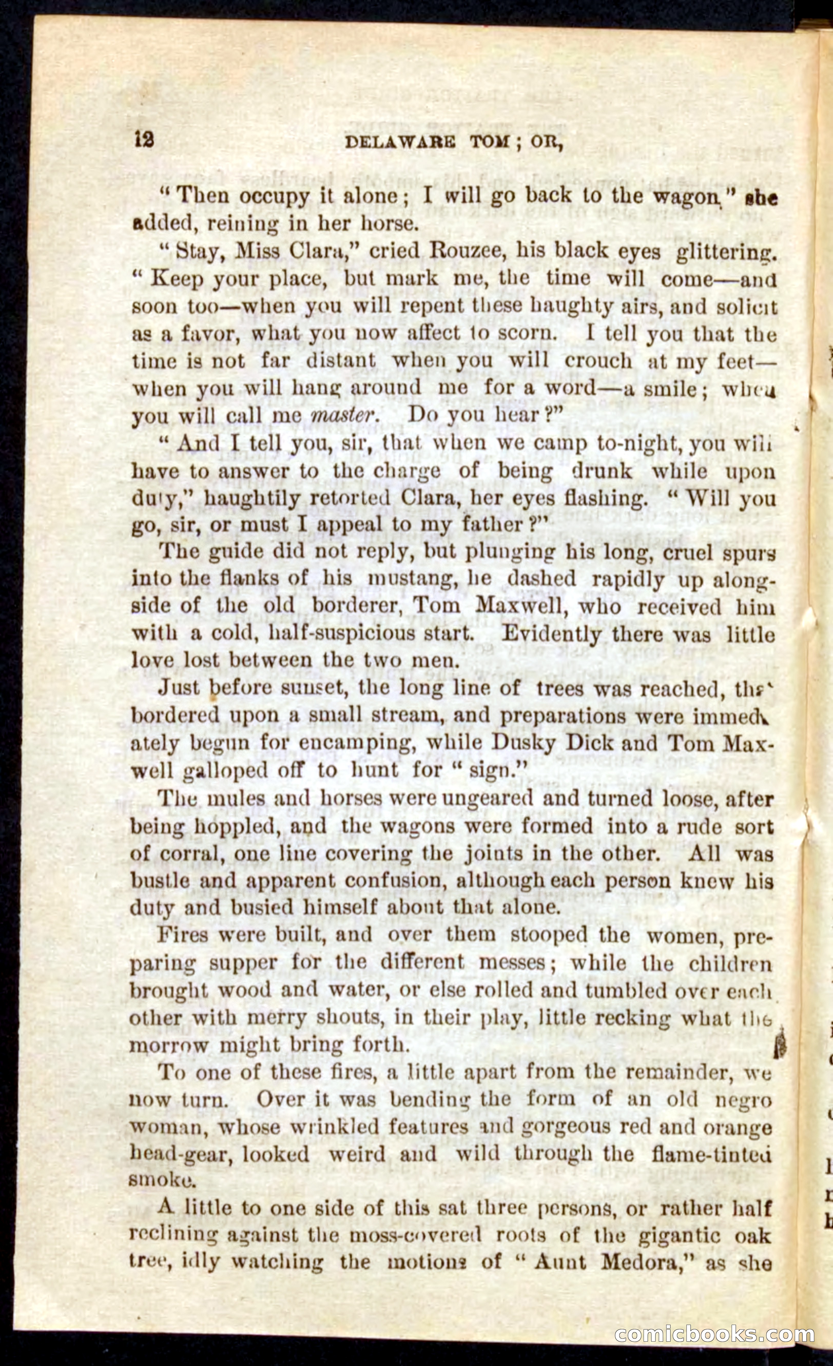 Beadle's Pocket Novels No. 71: Delaware Tom — page 8 of 100