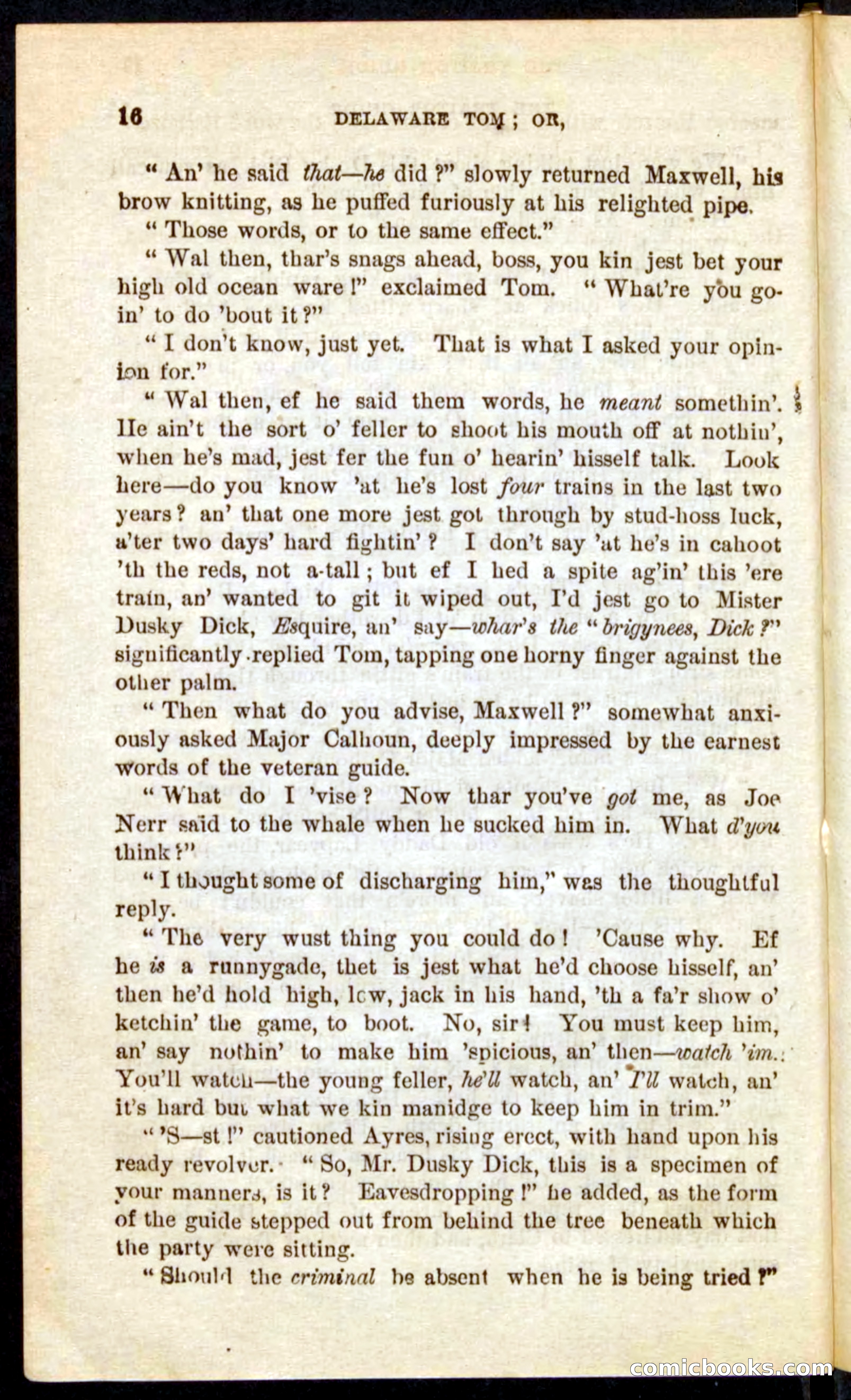 Beadle's Pocket Novels No. 71: Delaware Tom — page 12 of 100