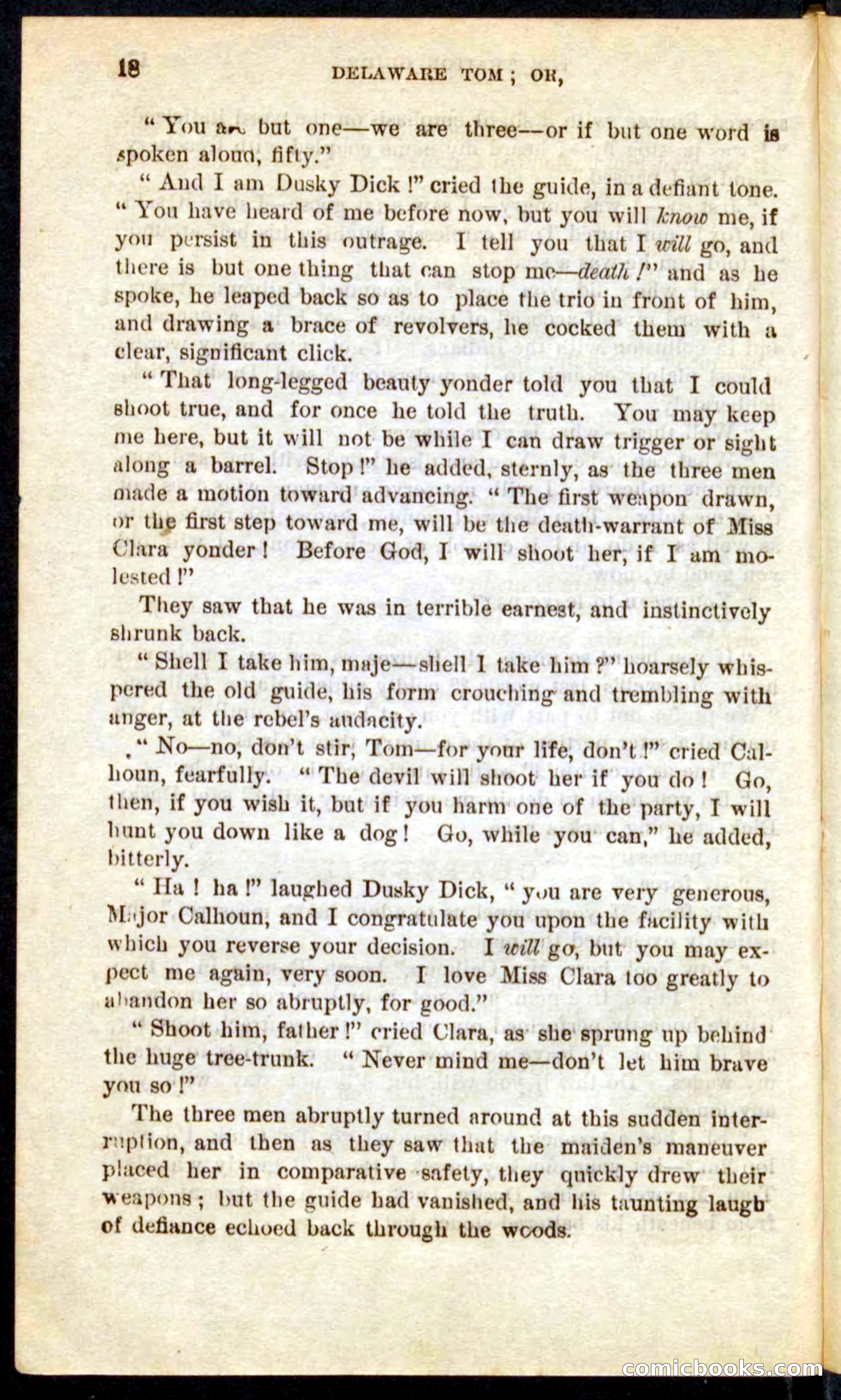 Beadle's Pocket Novels No. 71: Delaware Tom — page 14 of 100