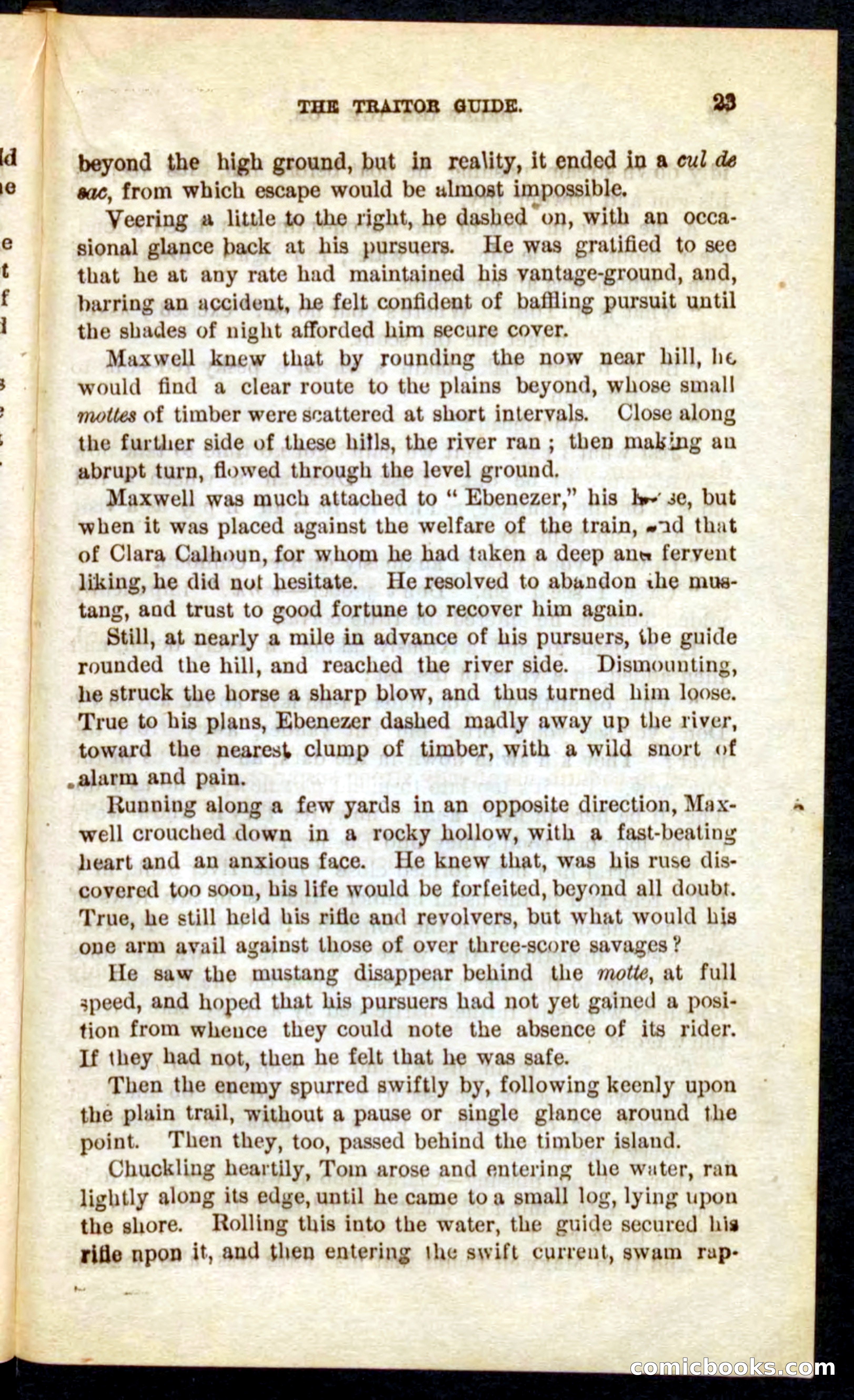 Beadle's Pocket Novels No. 71: Delaware Tom — page 19 of 100