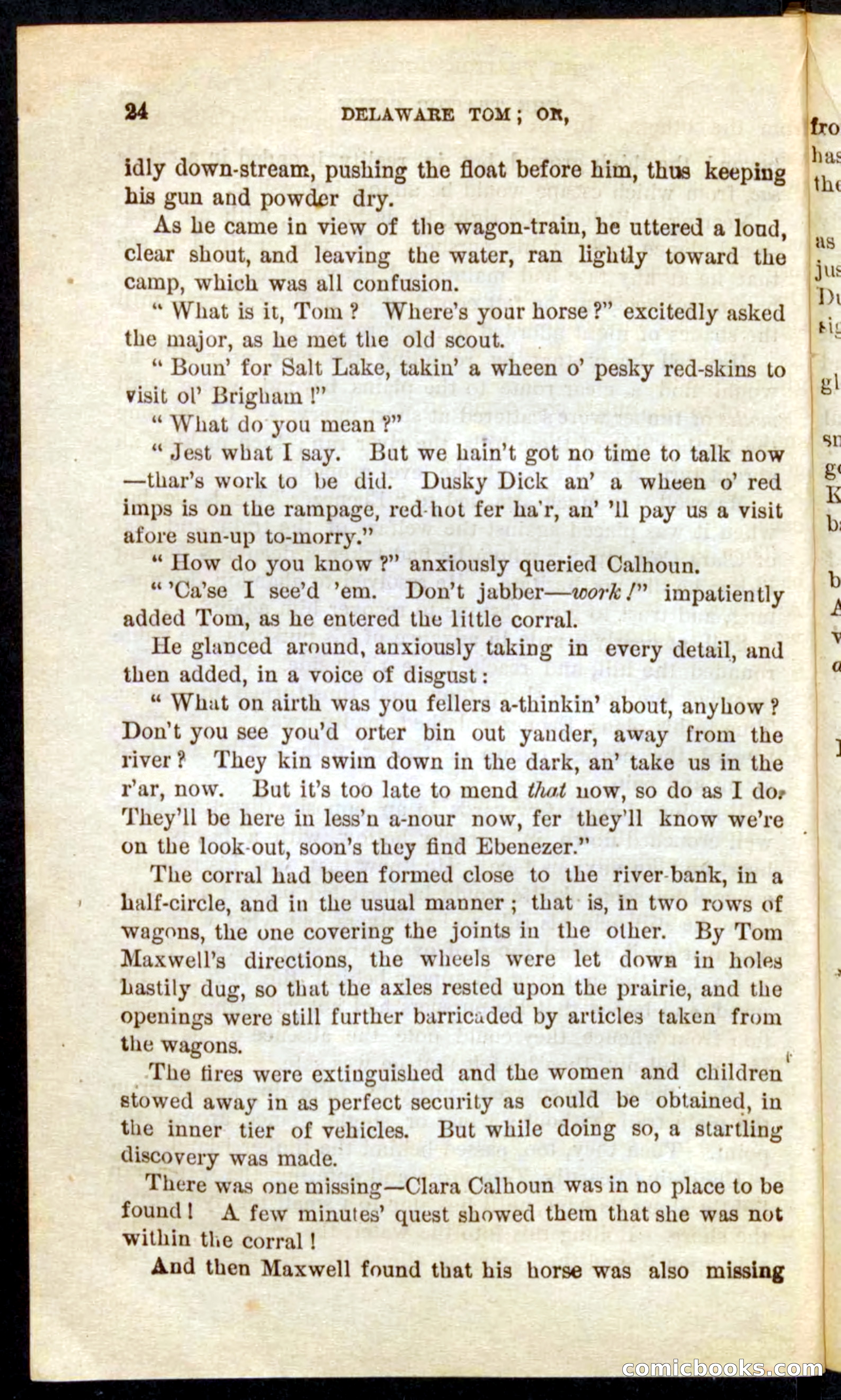 Beadle's Pocket Novels No. 71: Delaware Tom — page 20 of 100