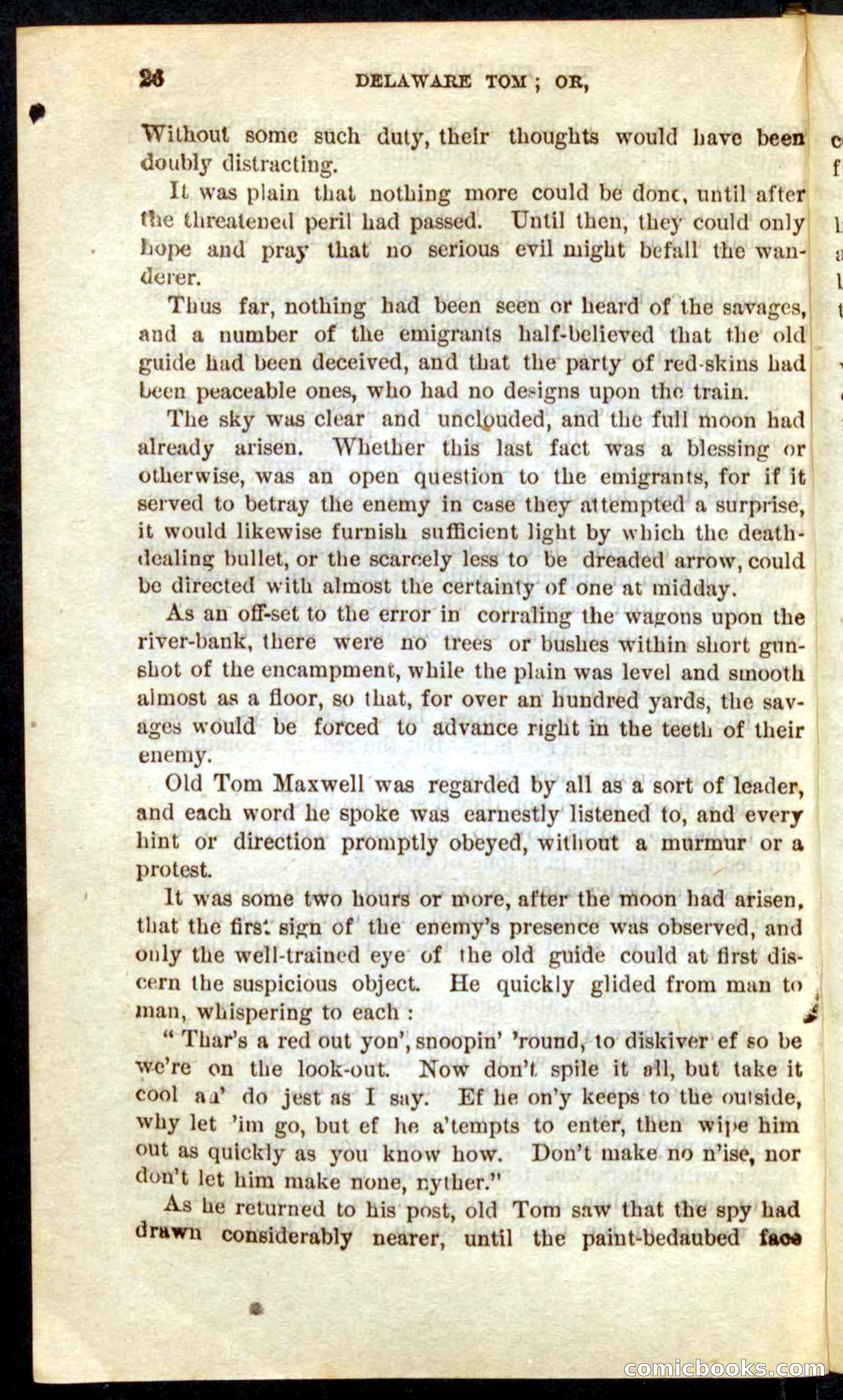 Beadle's Pocket Novels No. 71: Delaware Tom — page 22 of 100