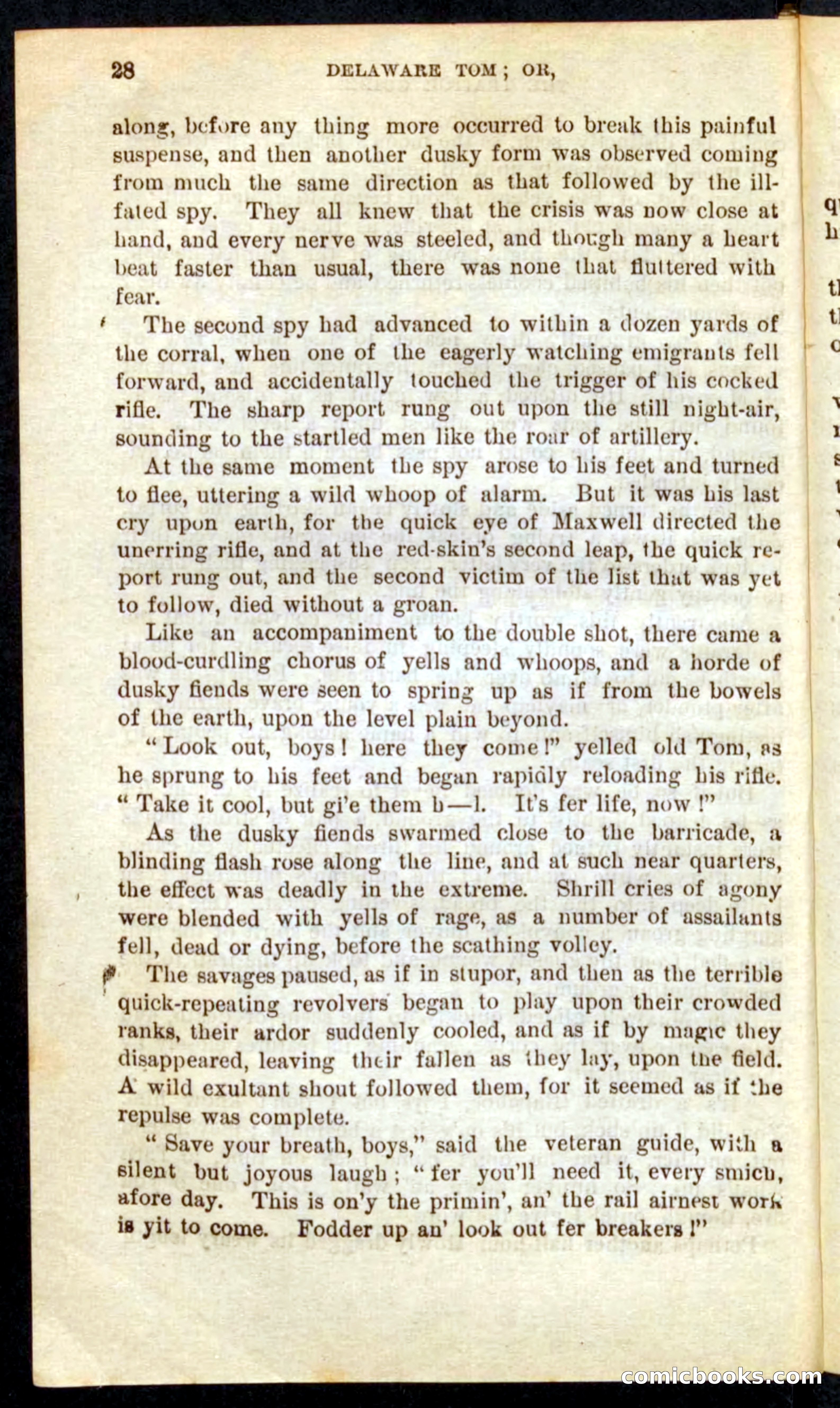 Beadle's Pocket Novels No. 71: Delaware Tom — page 24 of 100