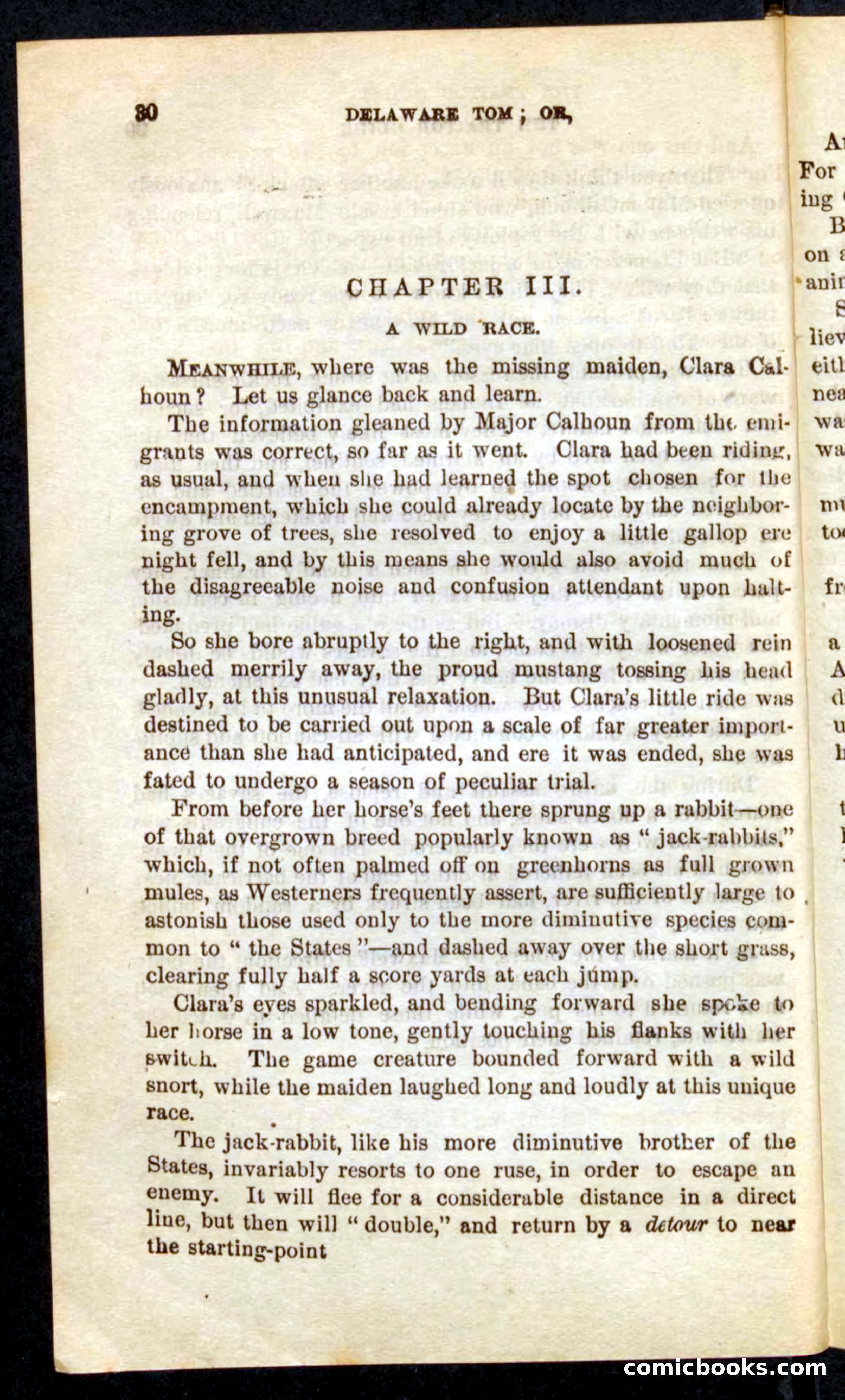 Beadle's Pocket Novels No. 71: Delaware Tom — page 26 of 100