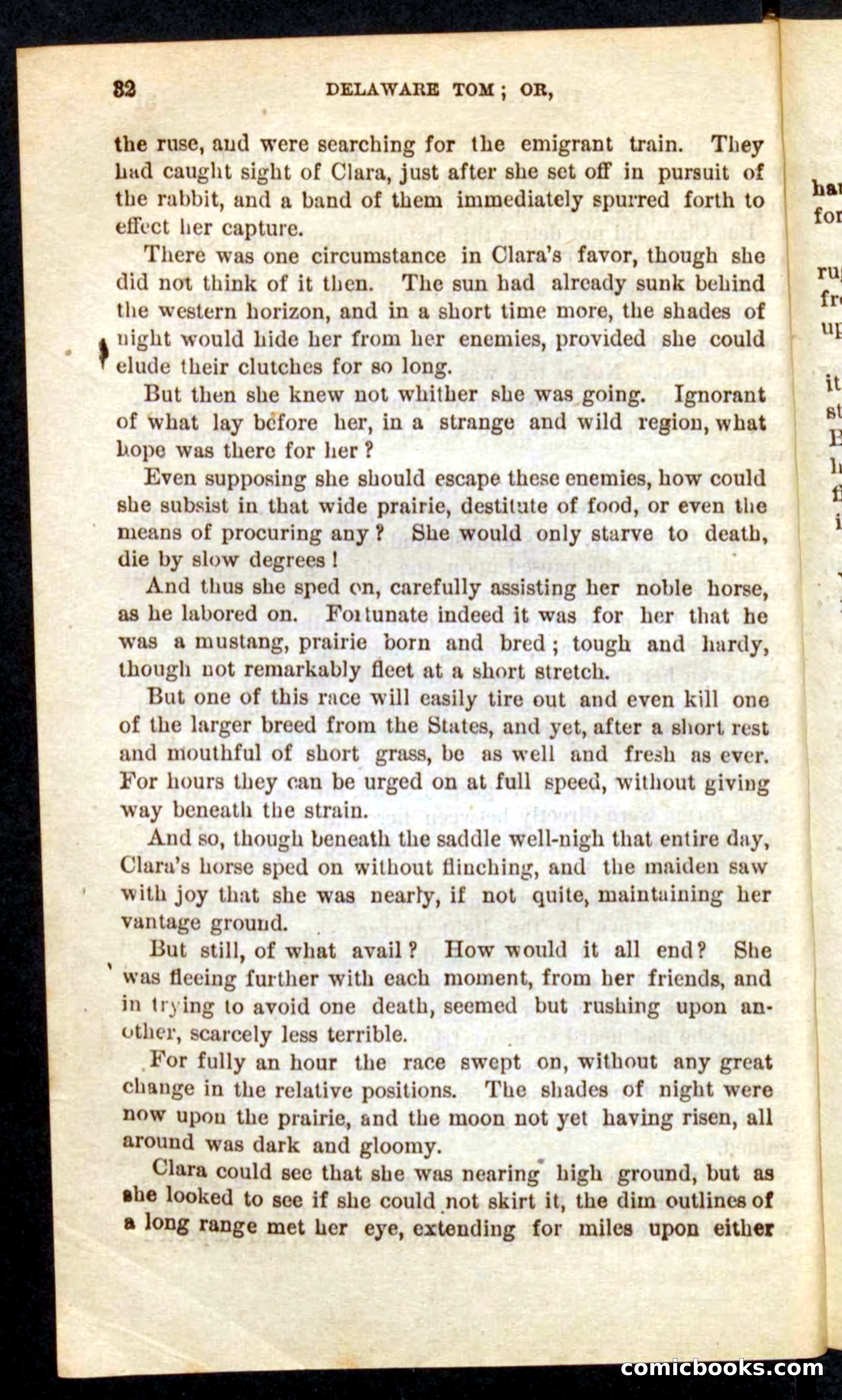 Beadle's Pocket Novels No. 71: Delaware Tom — page 28 of 100