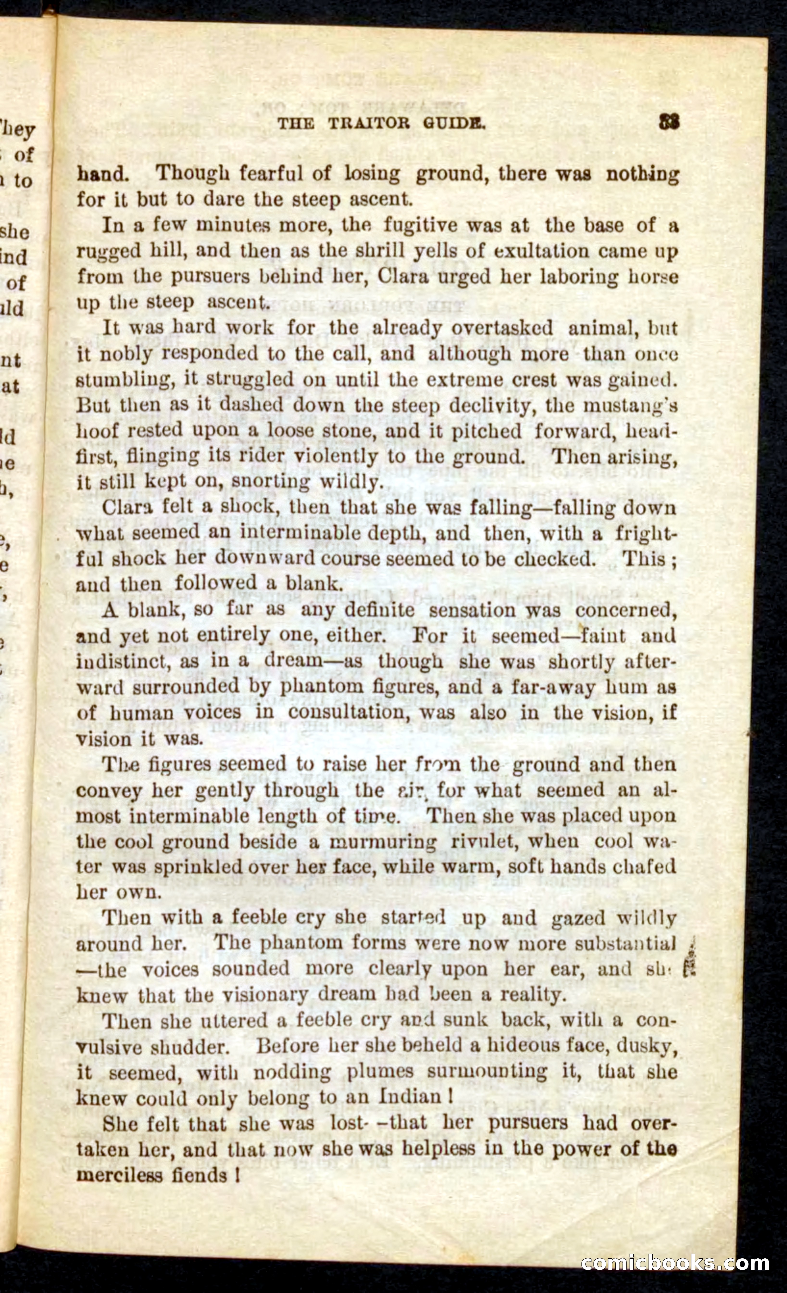 Beadle's Pocket Novels No. 71: Delaware Tom — page 29 of 100