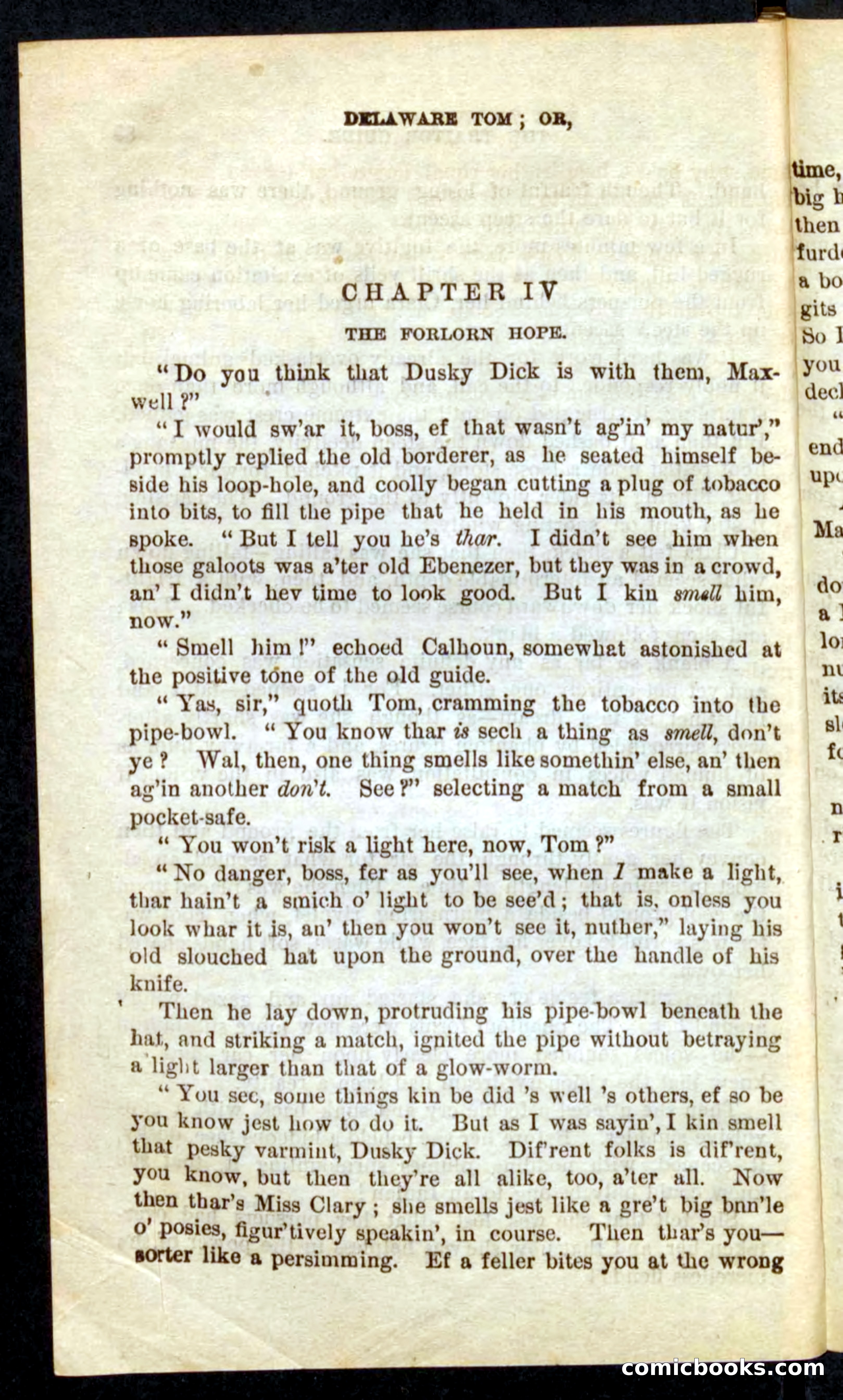 Beadle's Pocket Novels No. 71: Delaware Tom — page 30 of 100