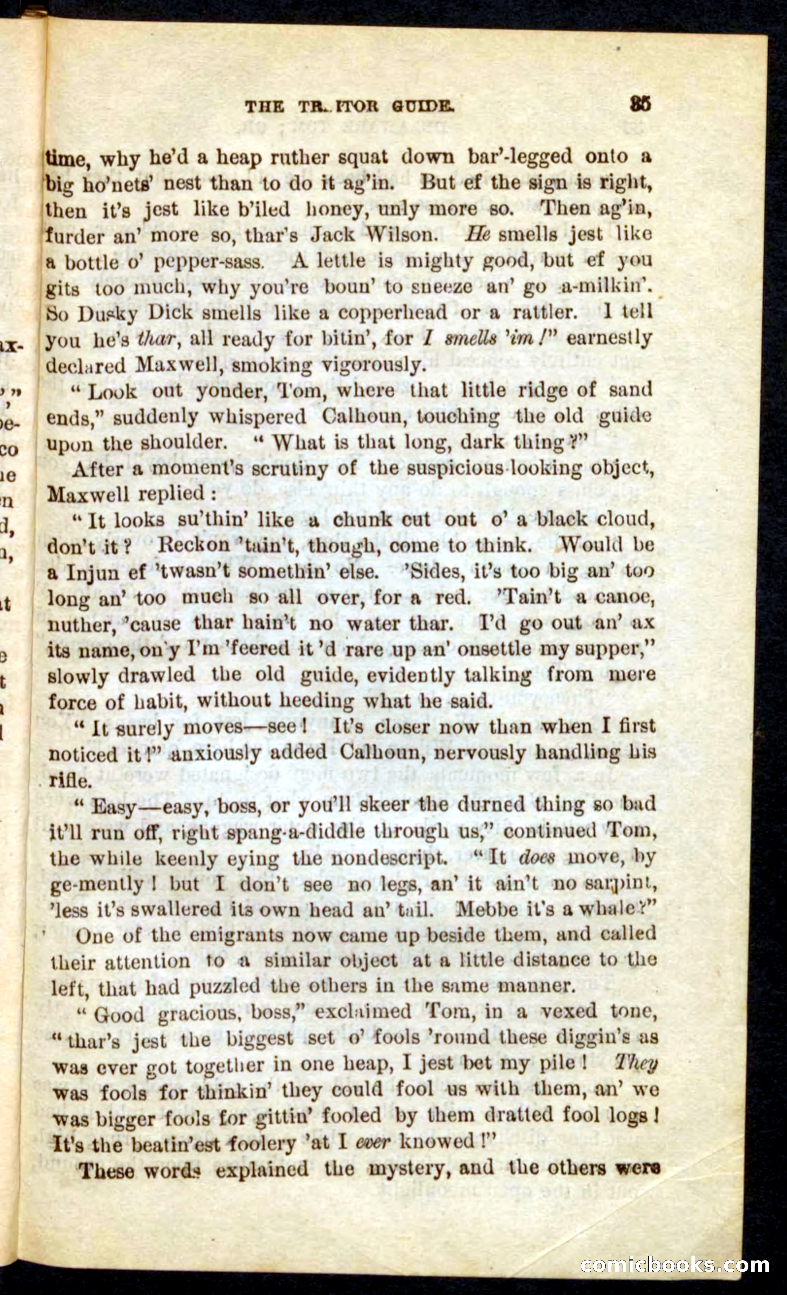 Beadle's Pocket Novels No. 71: Delaware Tom — page 31 of 100