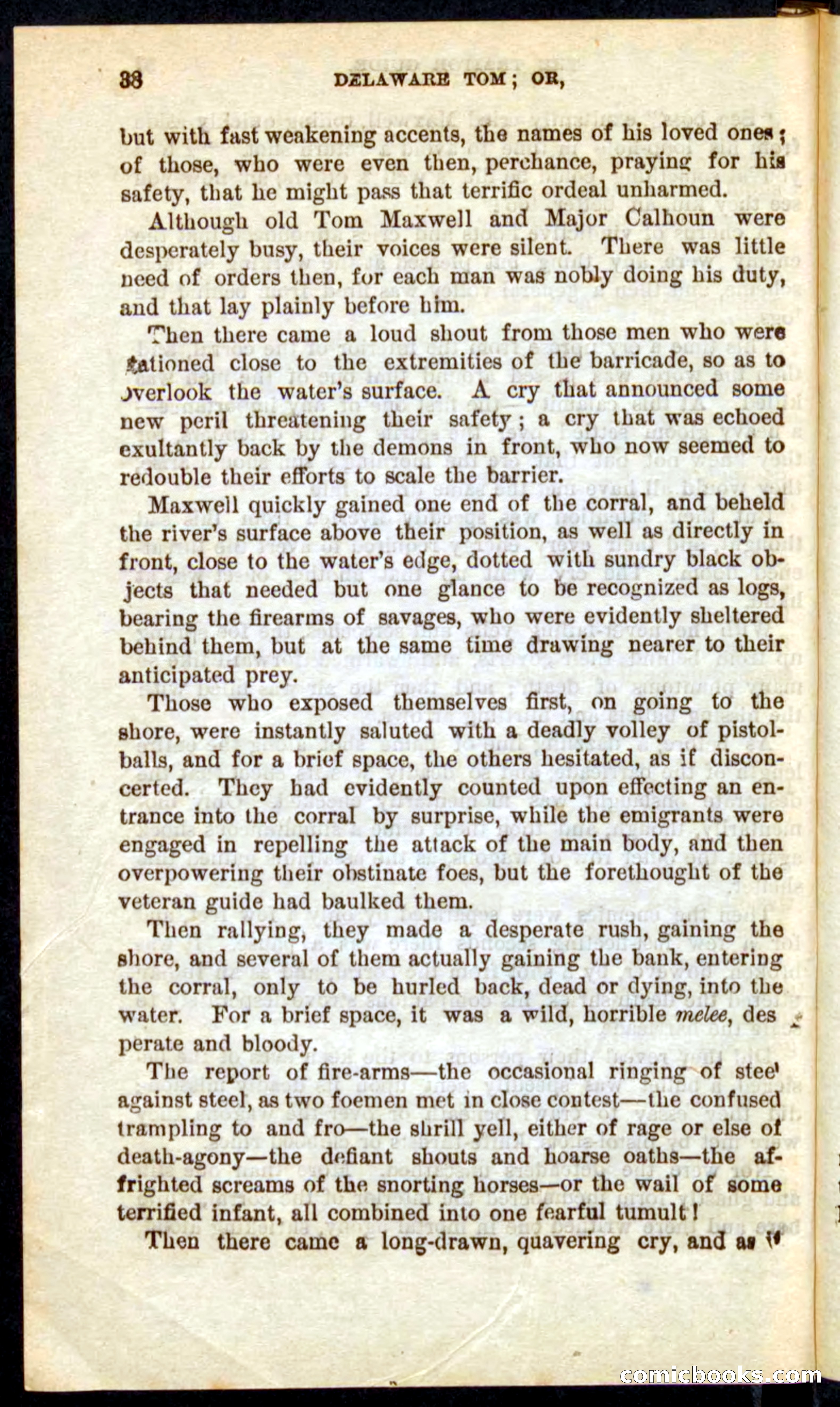 Beadle's Pocket Novels No. 71: Delaware Tom — page 34 of 100