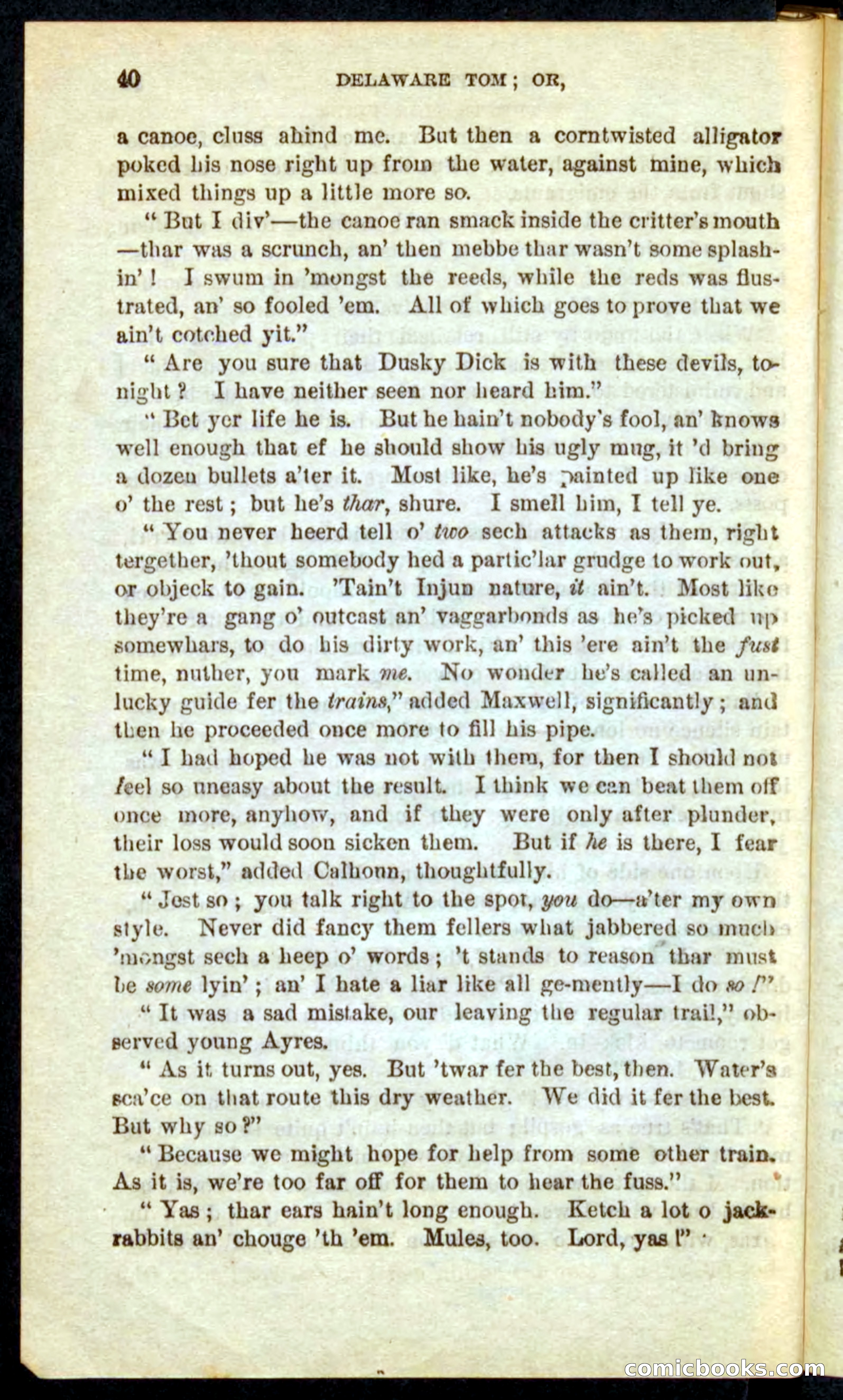 Beadle's Pocket Novels No. 71: Delaware Tom — page 36 of 100