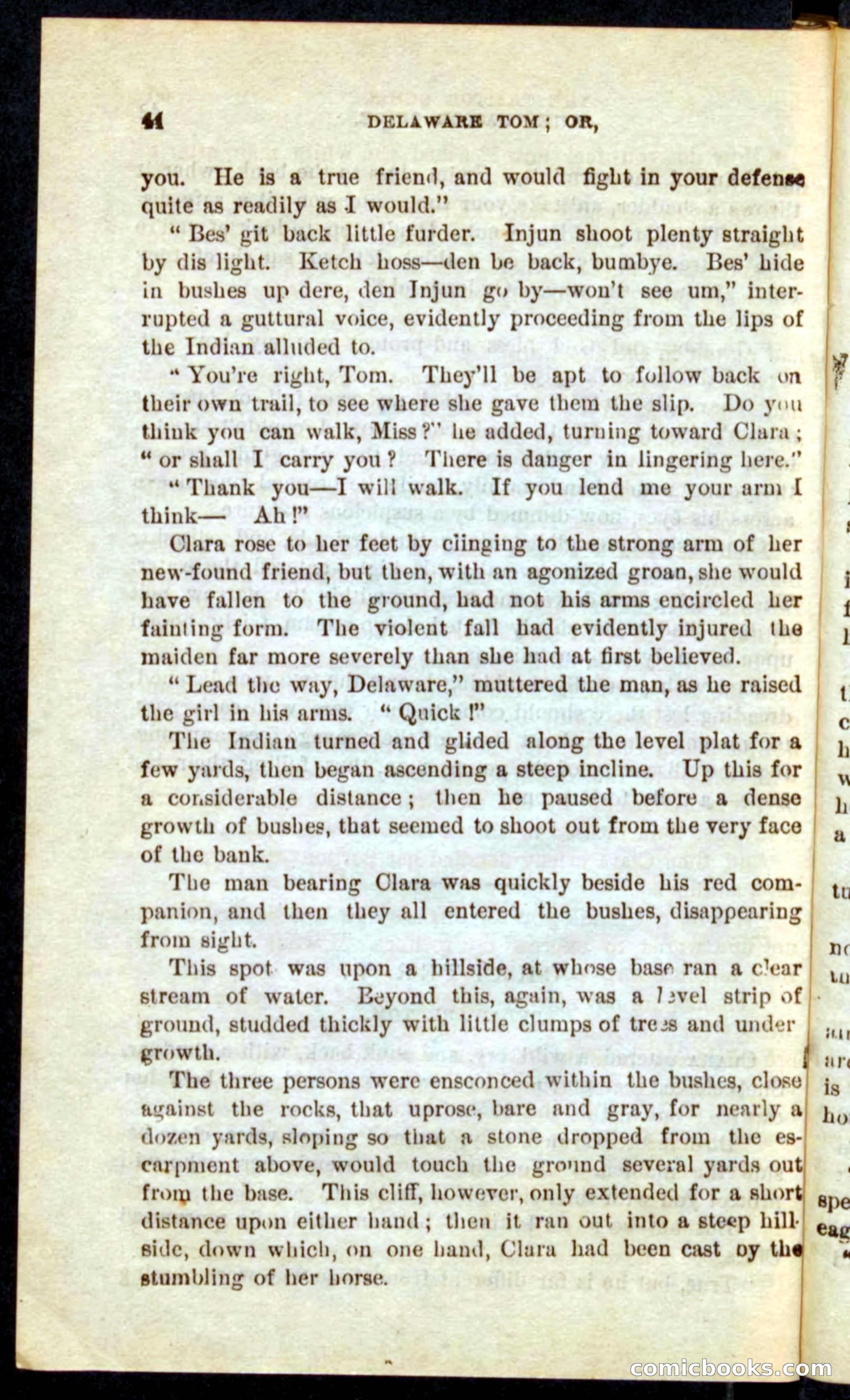 Beadle's Pocket Novels No. 71: Delaware Tom — page 40 of 100