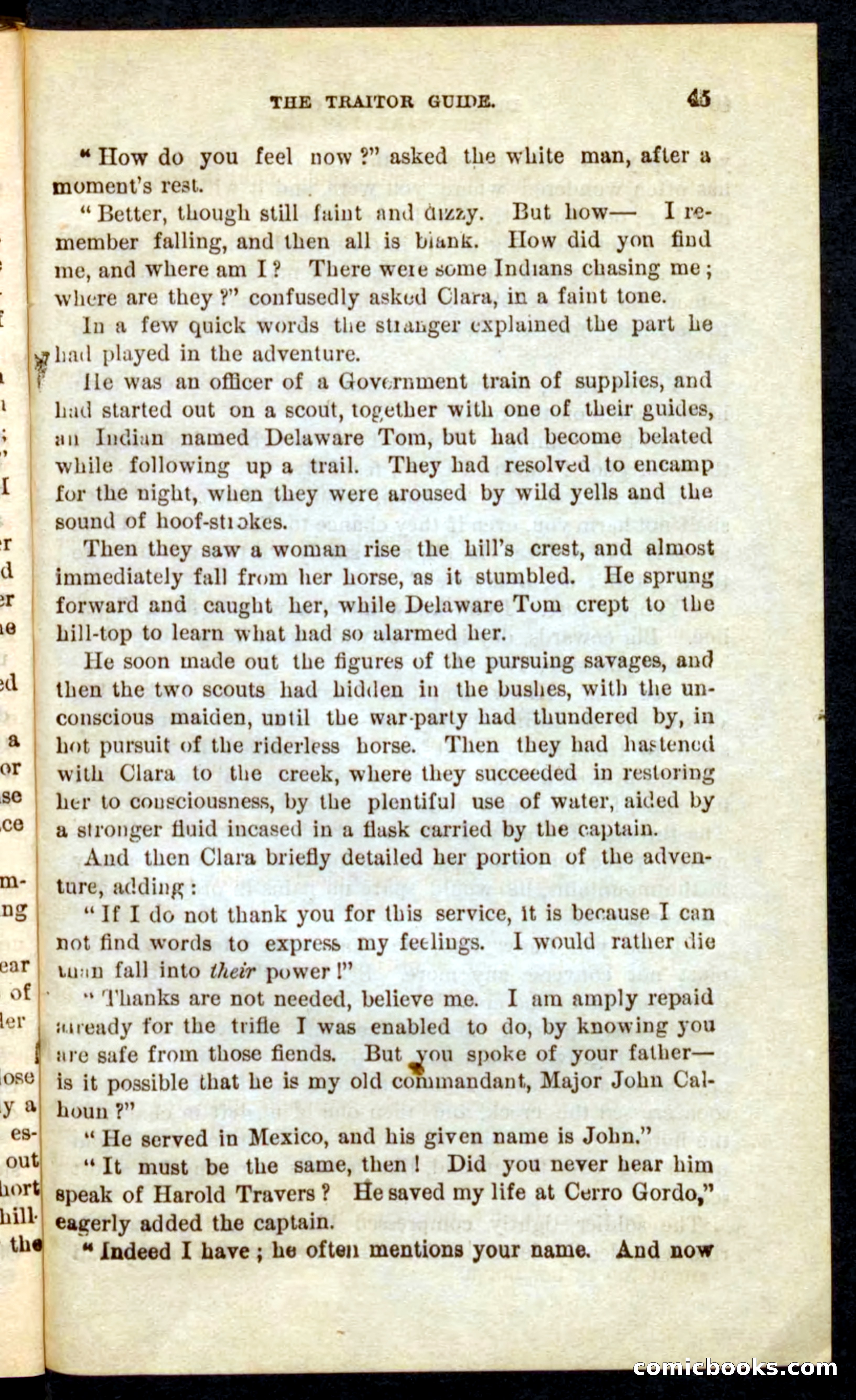 Beadle's Pocket Novels No. 71: Delaware Tom — page 41 of 100