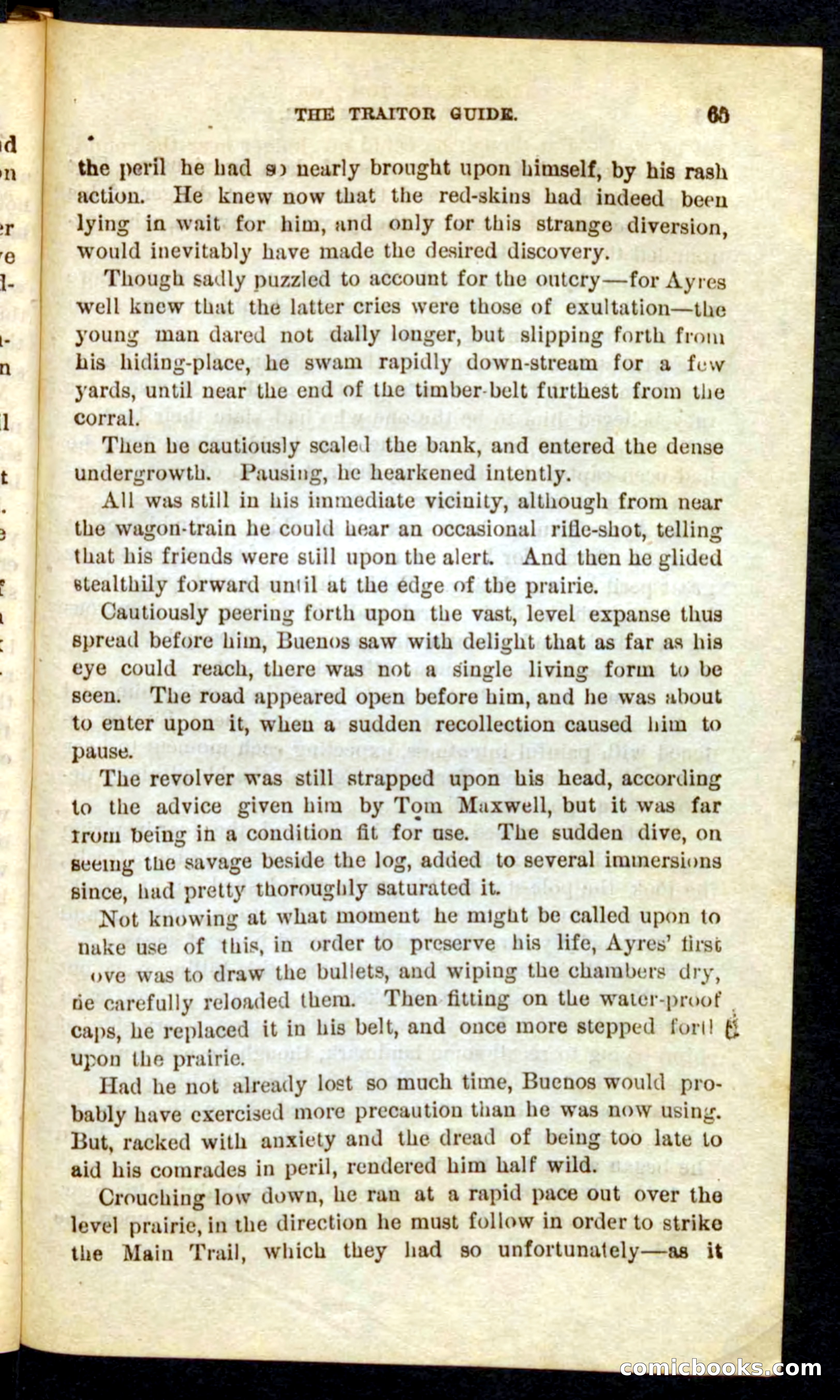 Beadle's Pocket Novels No. 71: Delaware Tom — page 61 of 100