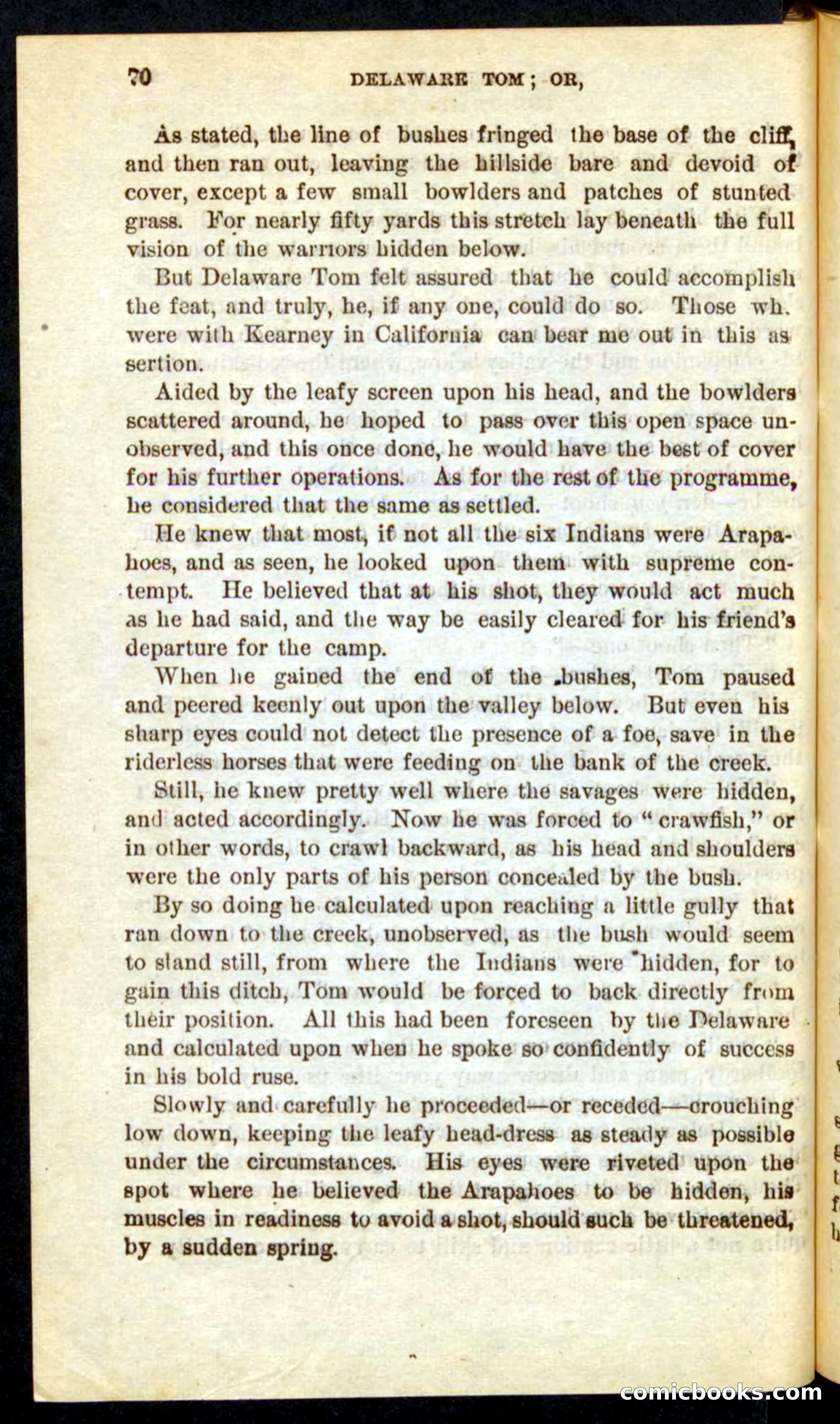 Beadle's Pocket Novels No. 71: Delaware Tom — page 66 of 100