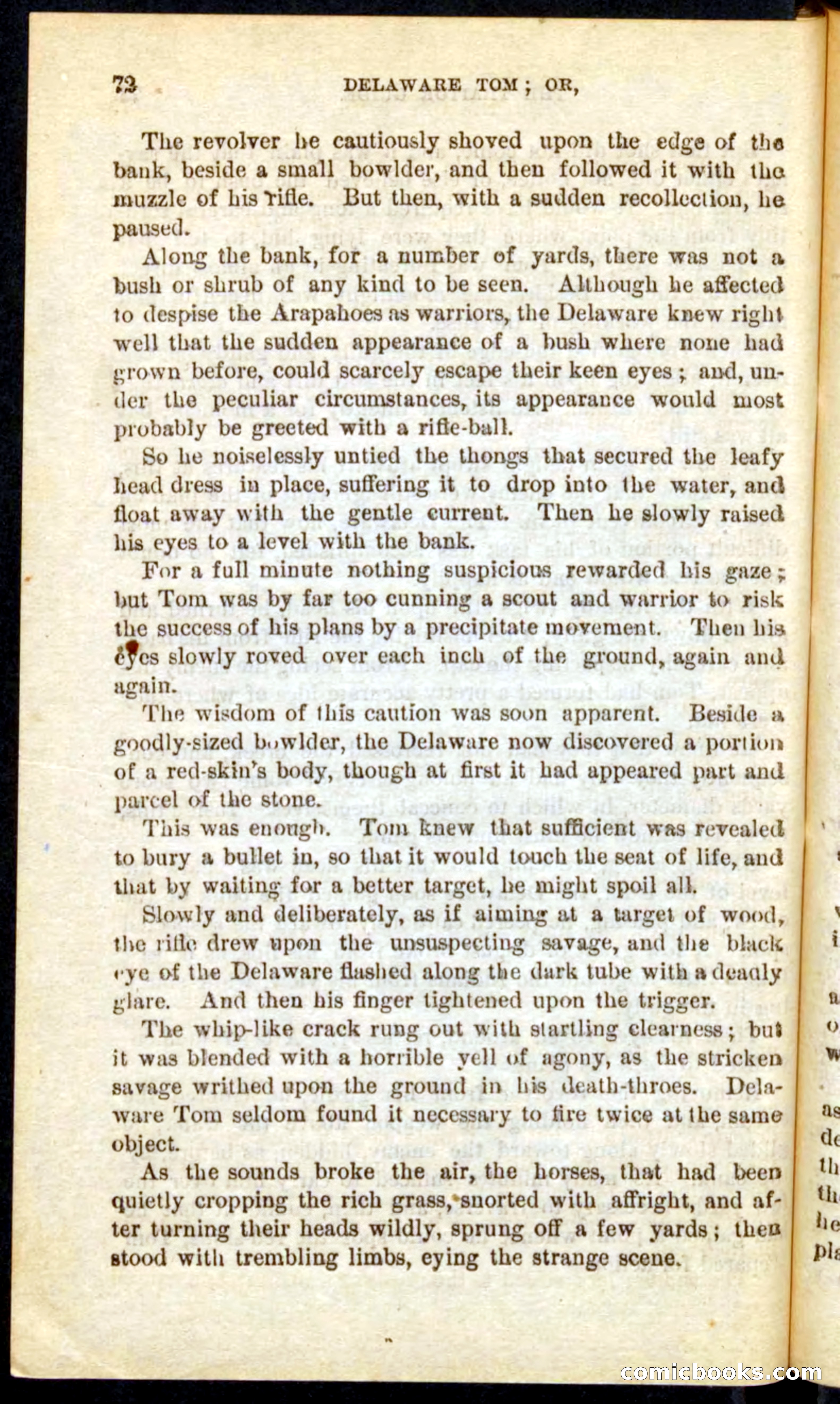 Beadle's Pocket Novels No. 71: Delaware Tom — page 68 of 100