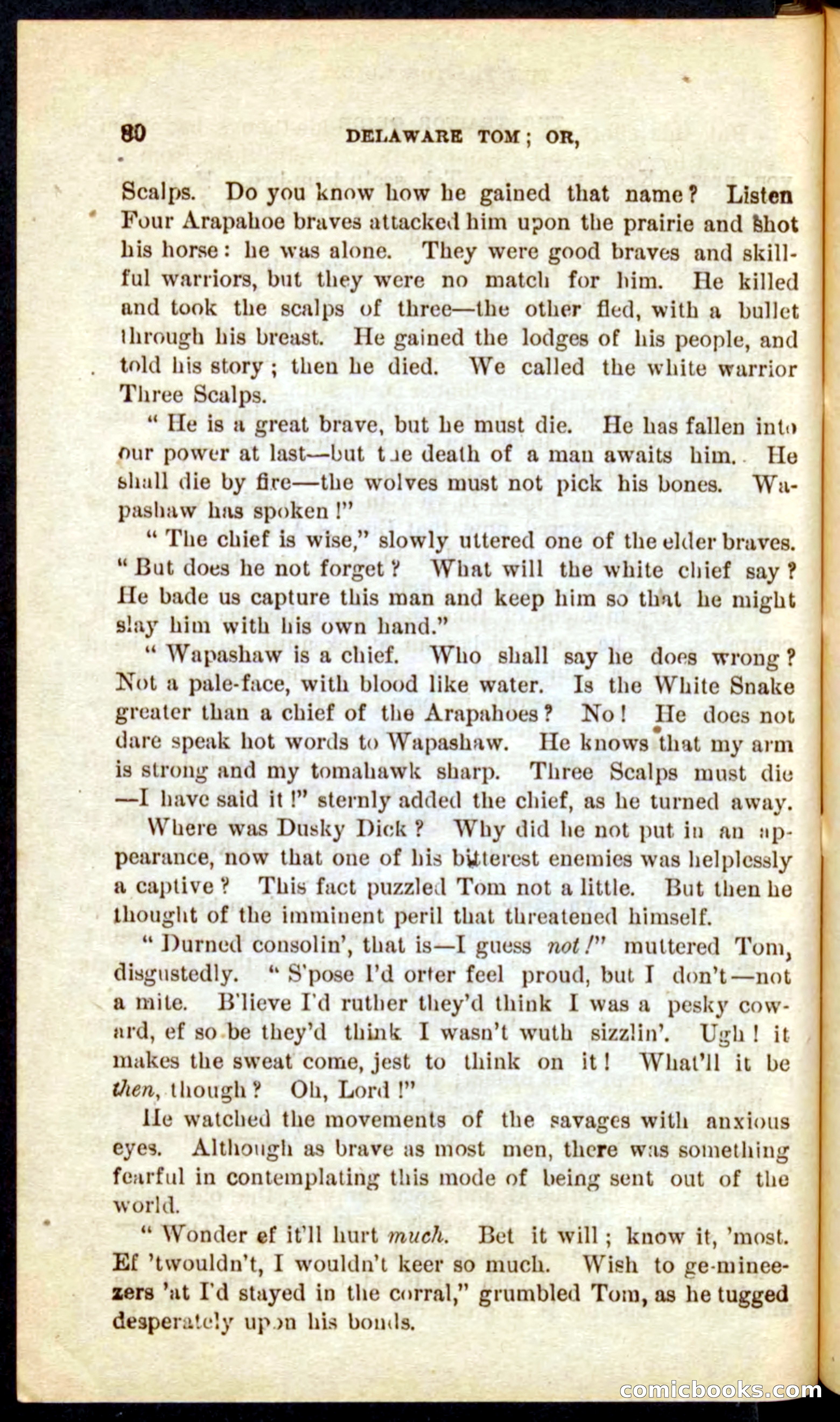 Beadle's Pocket Novels No. 71: Delaware Tom — page 76 of 100