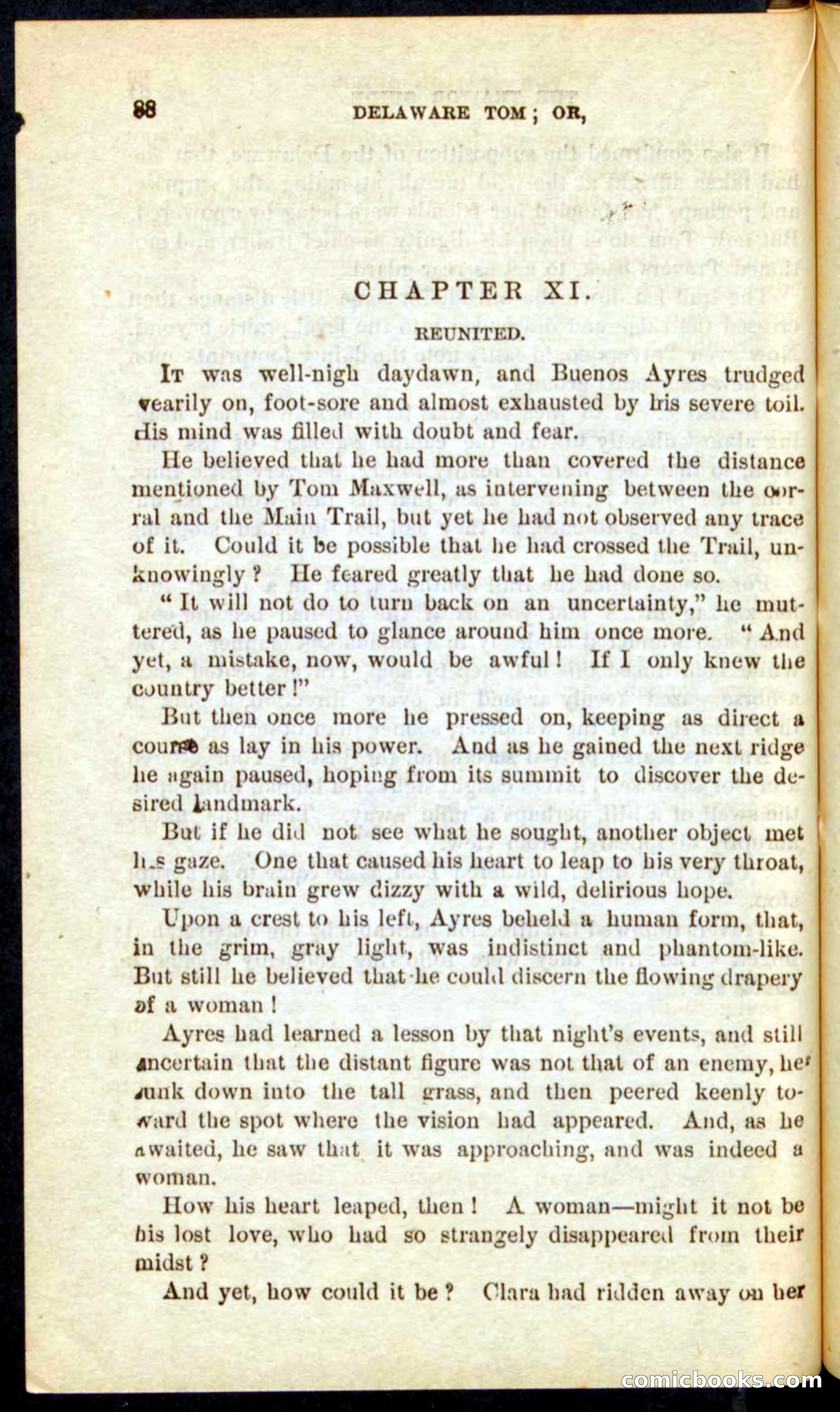 Beadle's Pocket Novels No. 71: Delaware Tom — page 84 of 100