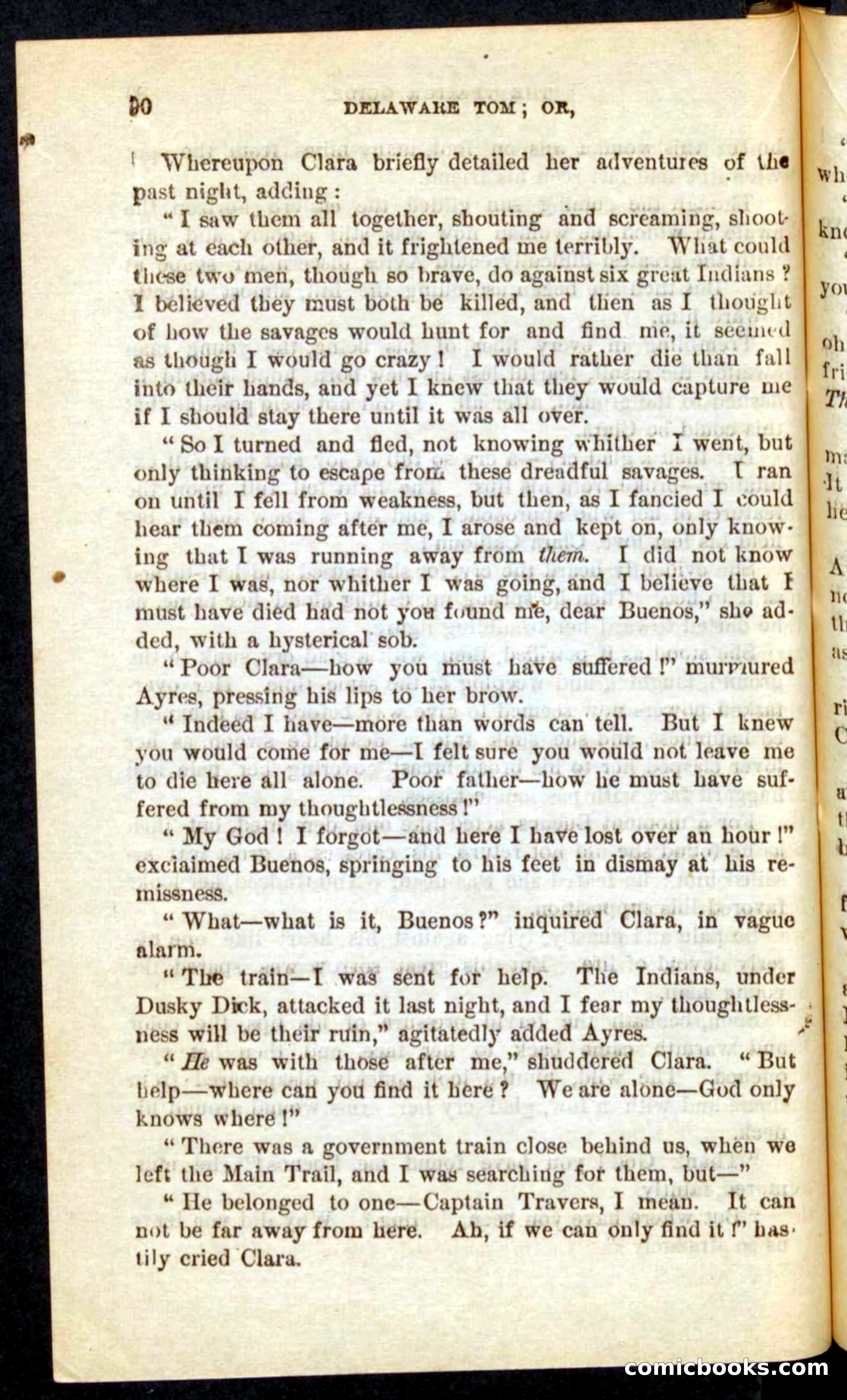 Beadle's Pocket Novels No. 71: Delaware Tom — page 86 of 100